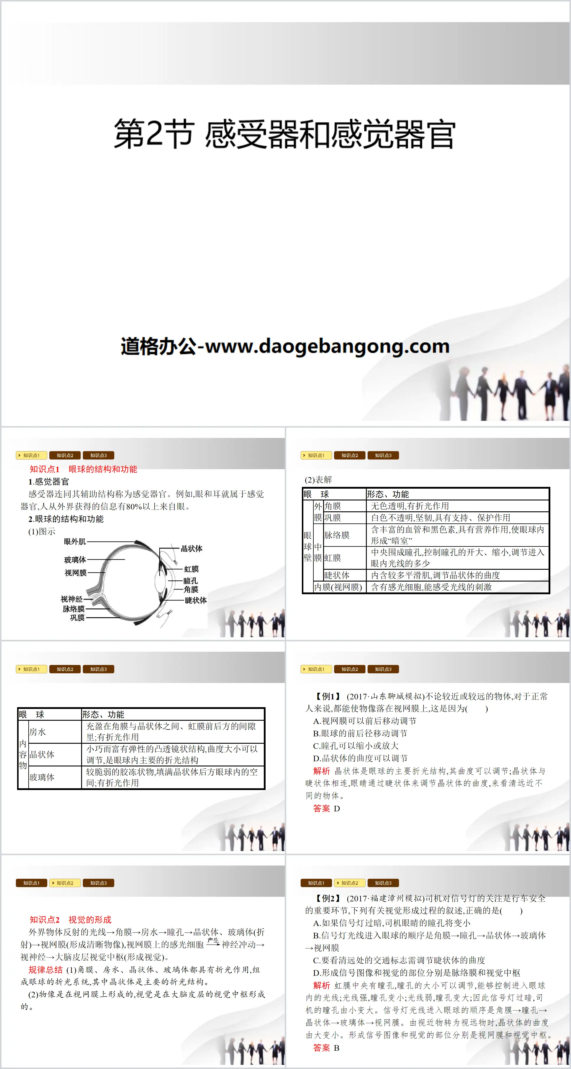 《感受器和感觉器官》PPT下载
