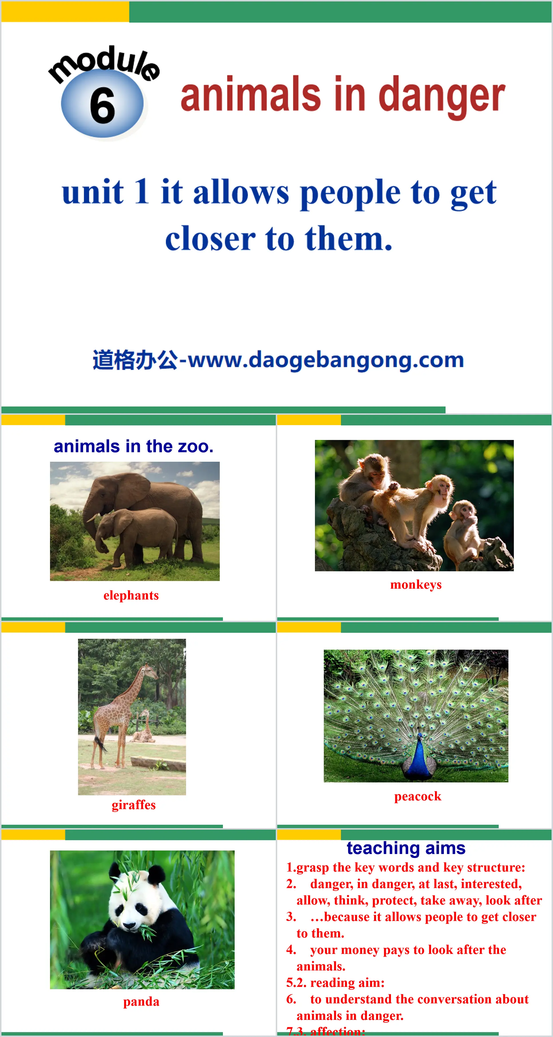 《It allows people to get closer to them》Animals in danger PPT courseware