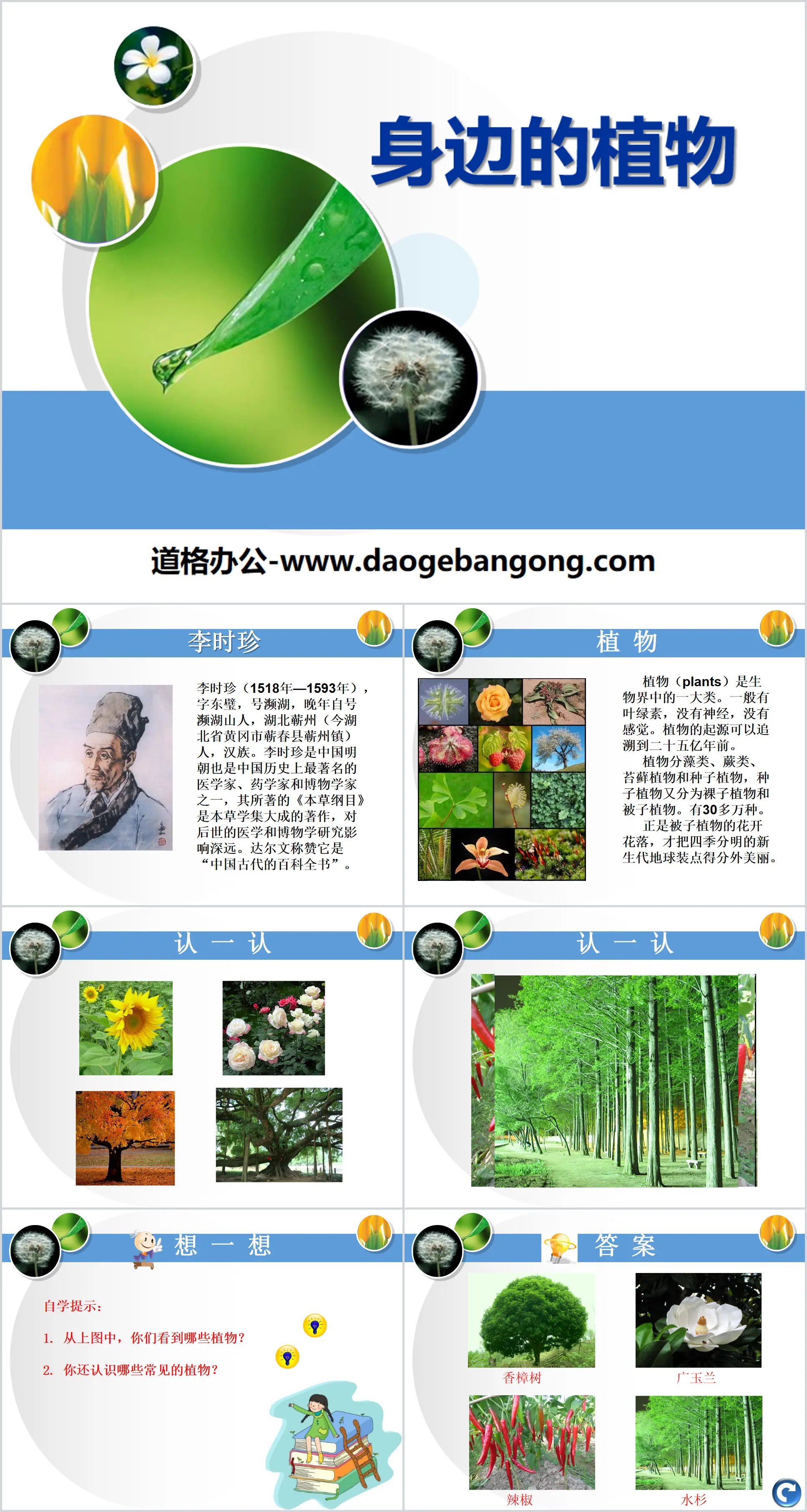 "Plants Around You" Animals and Plants Around You PPT Courseware 2