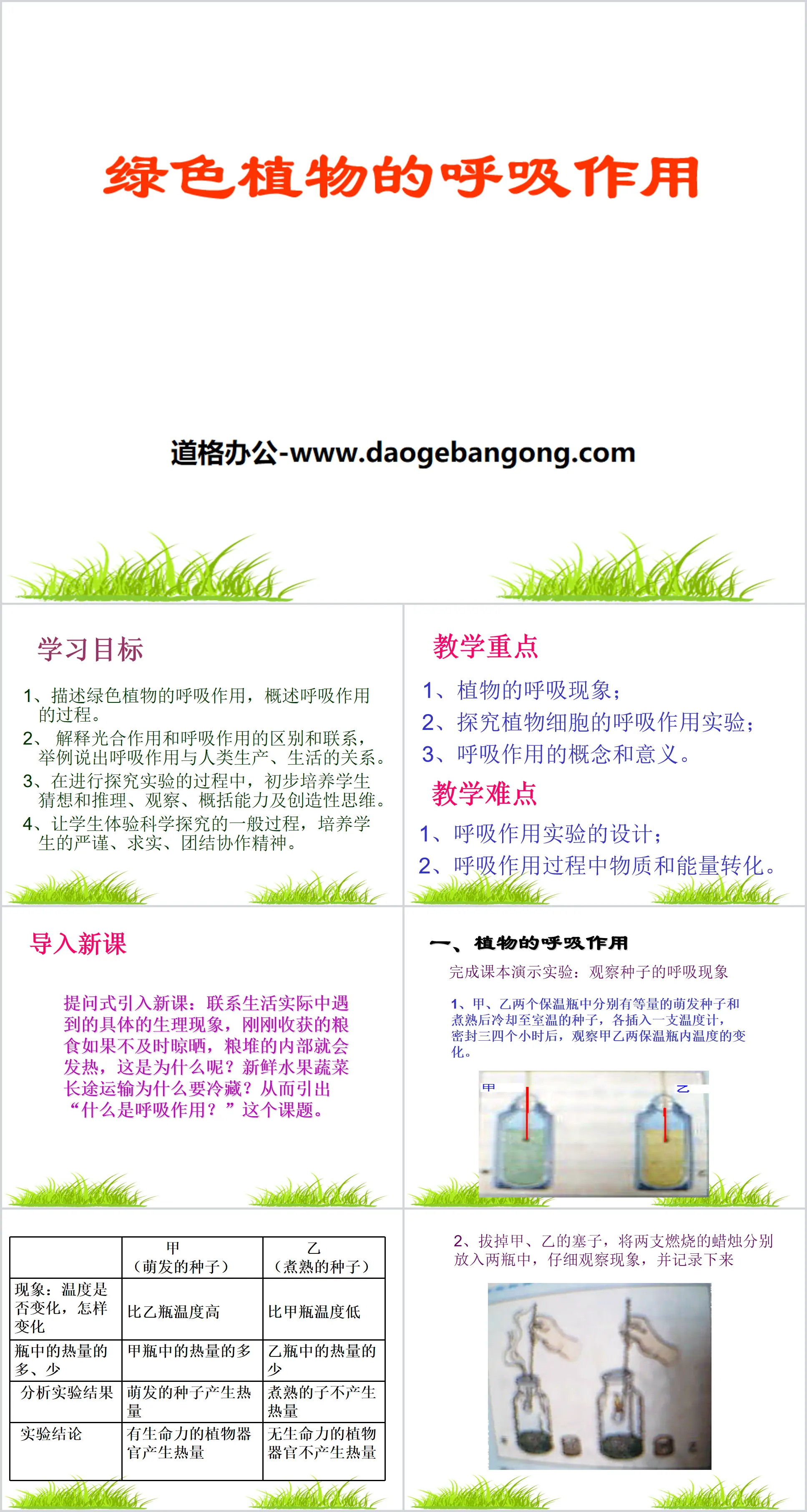 《绿色植物的呼吸作用》PPT
