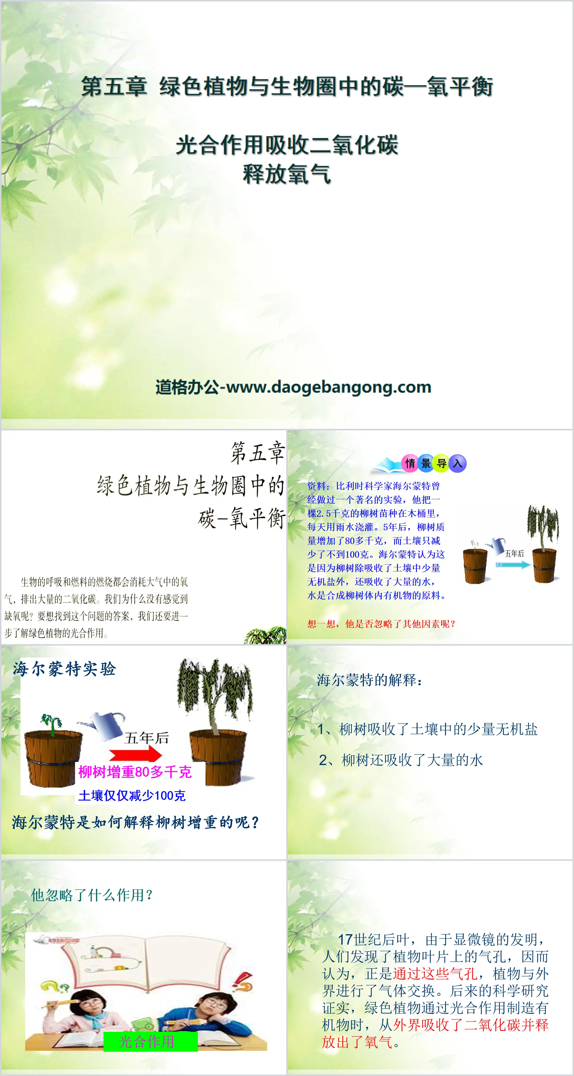 《光合作用吸收二氧化碳释放氧气》绿色植物与生物圈中碳-氧平衡PPT课件6
