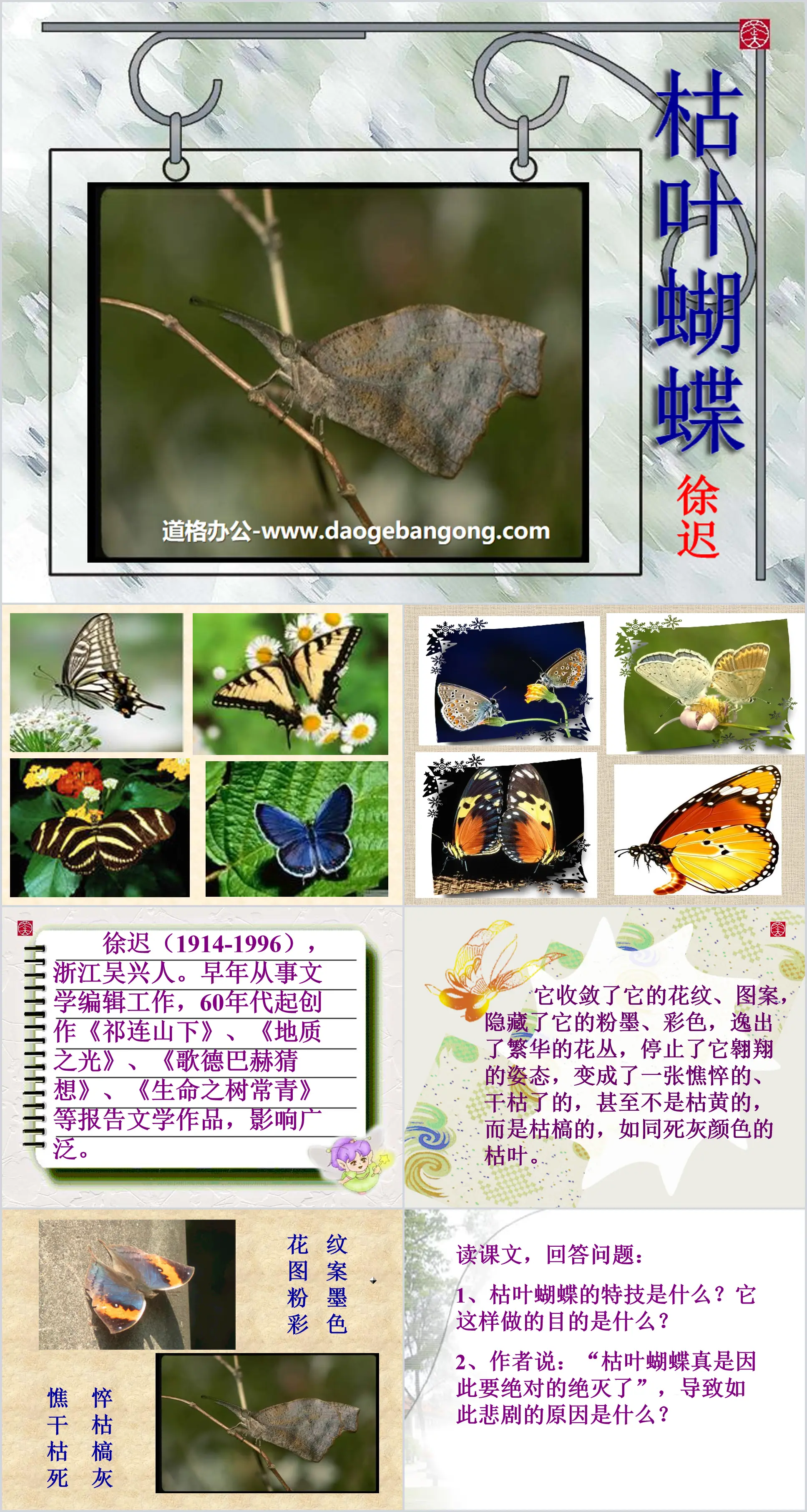 "Dead Leaf Butterfly" PPT courseware 2