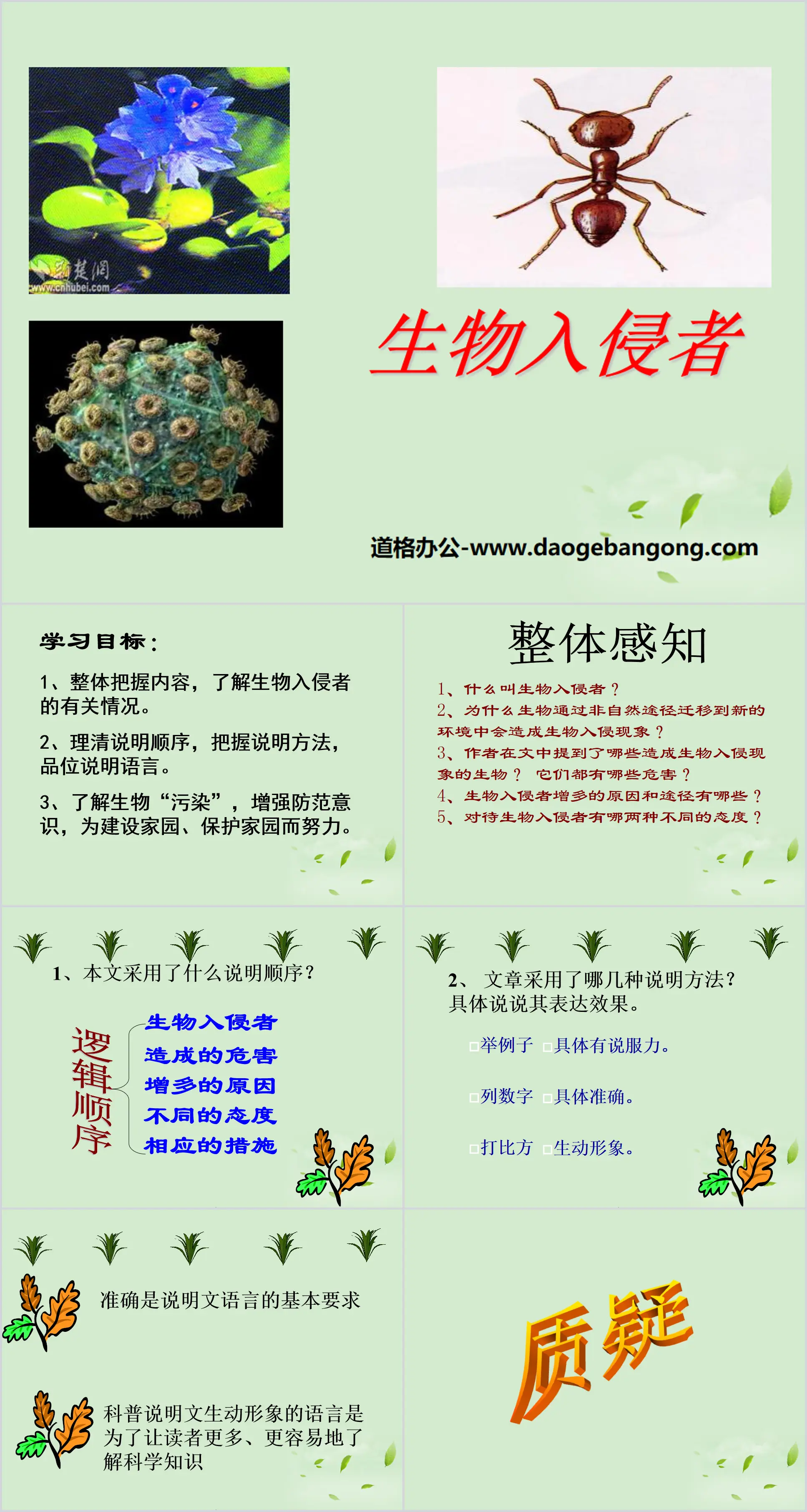 《生物入侵者》PPT课件5
