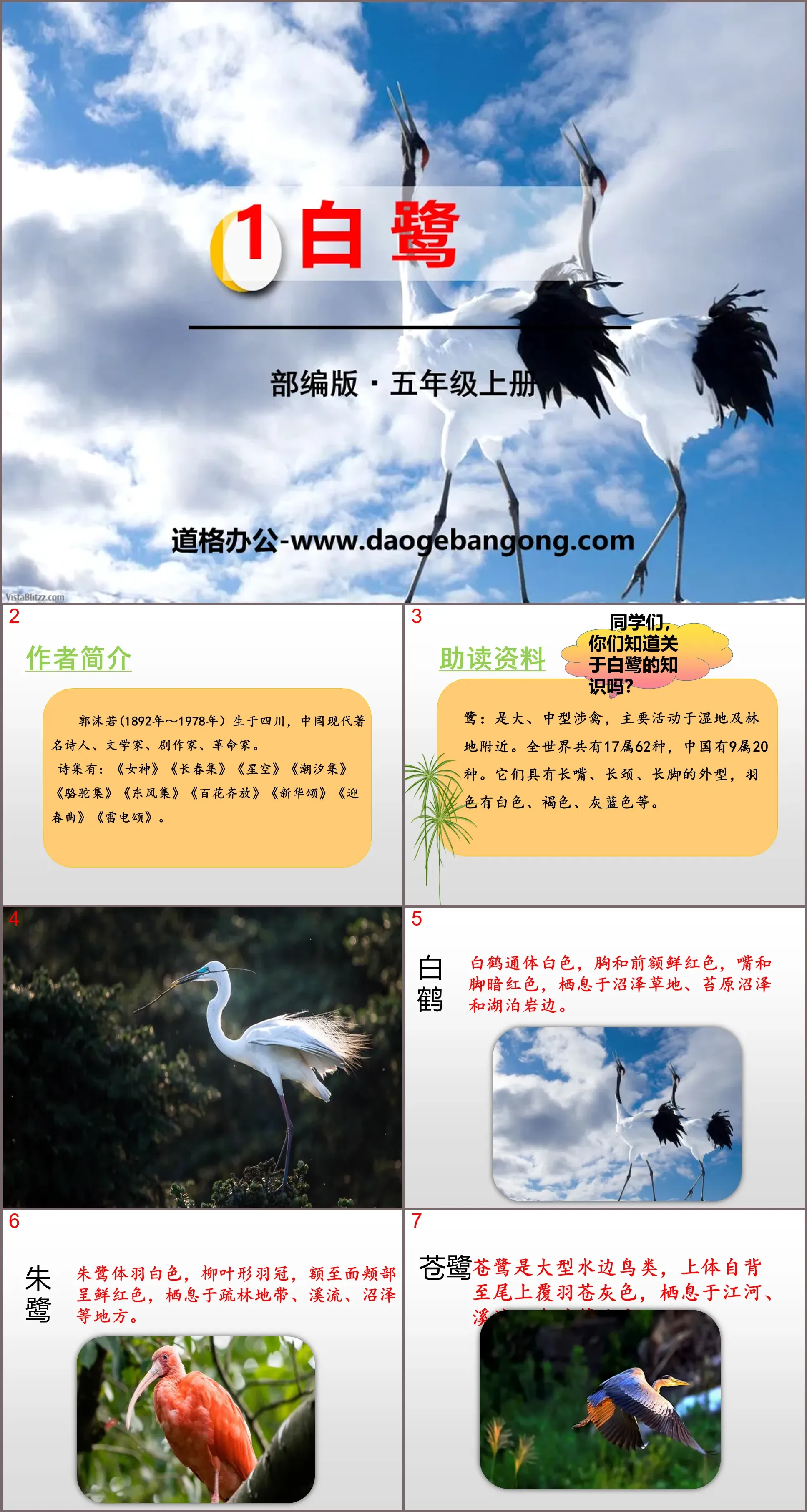 "Egret" PPT