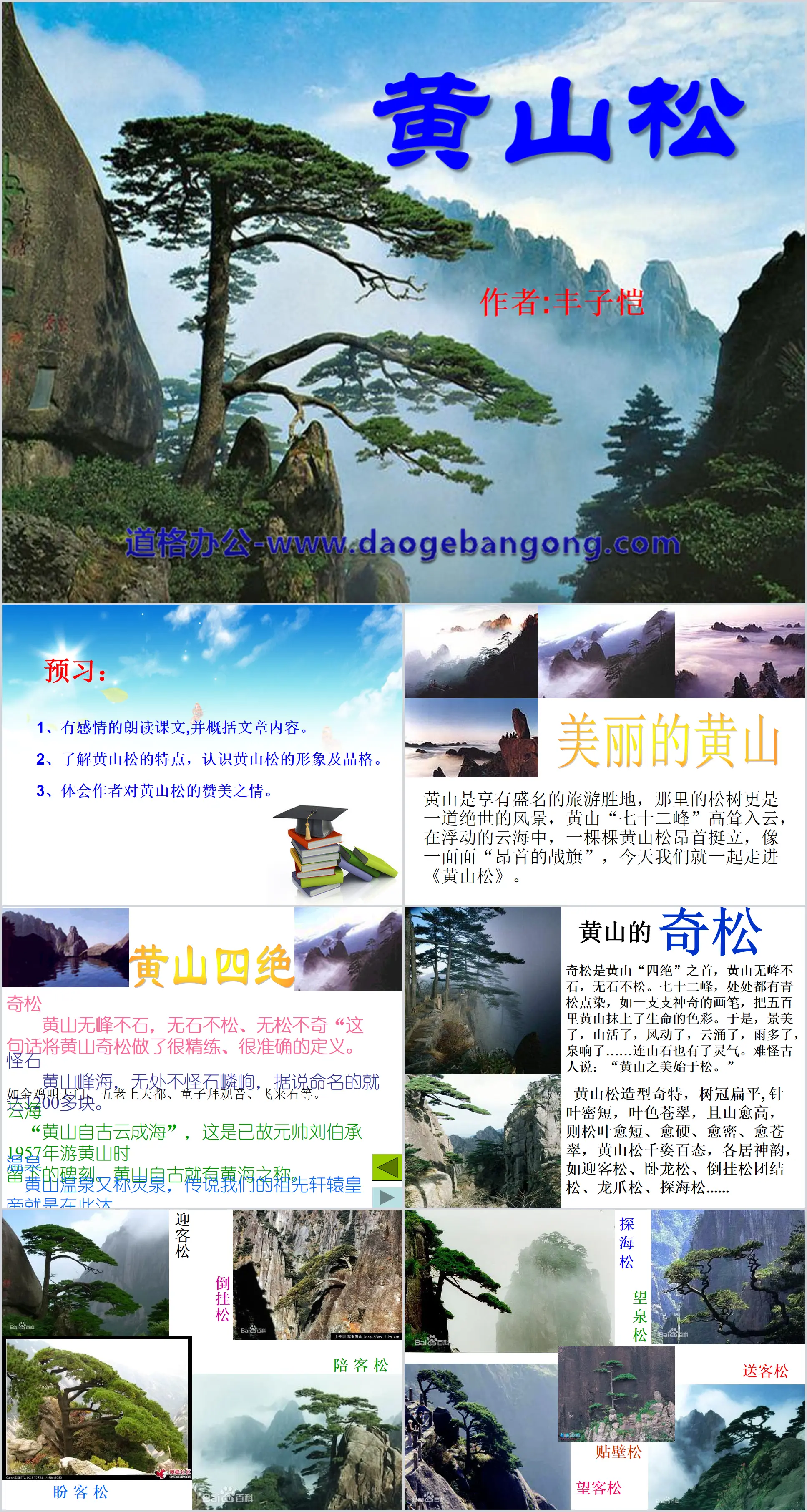 Cours PPT « Le pin de Huangshan » 4