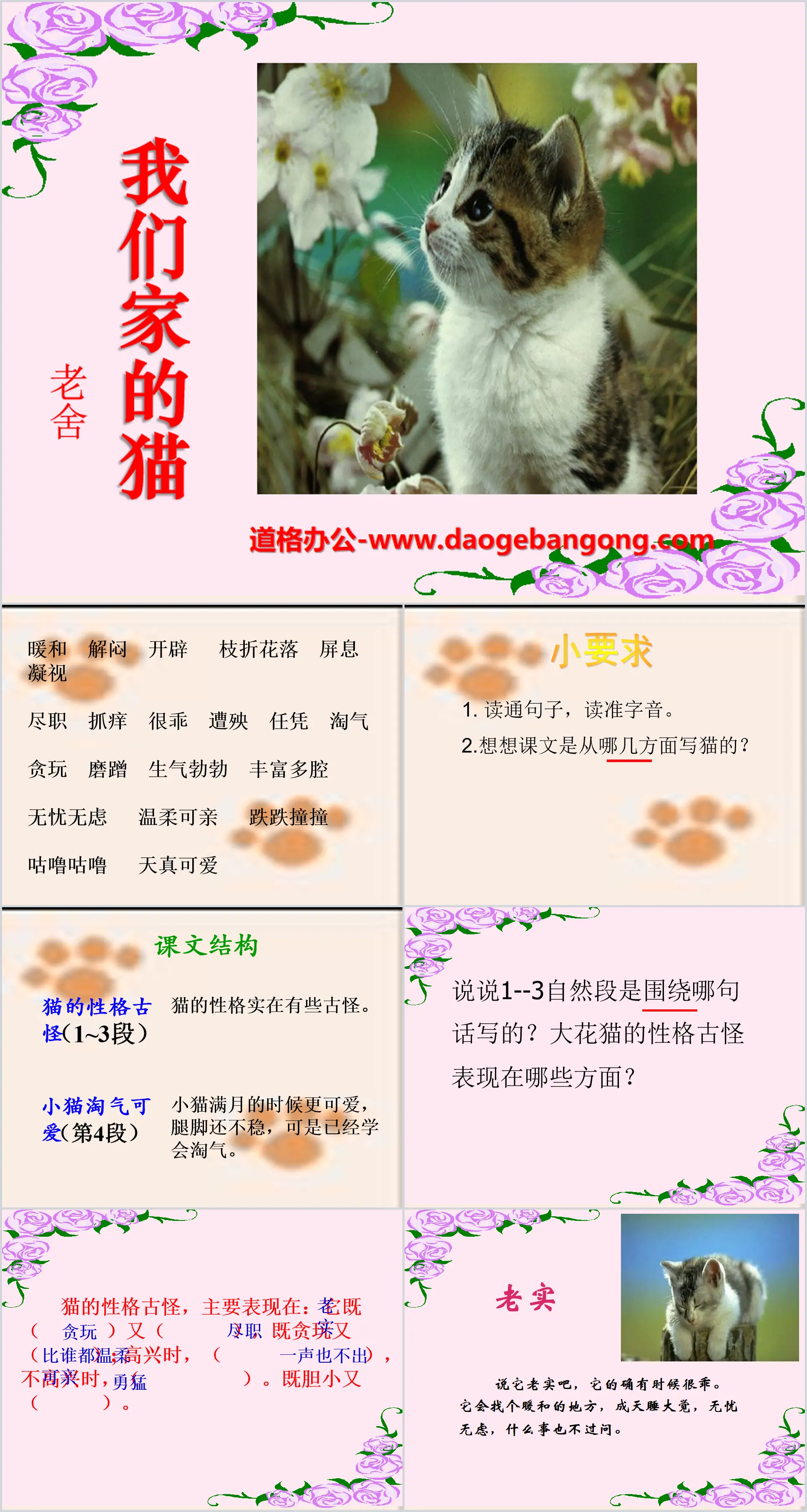 《我们家的猫》PPT课件
