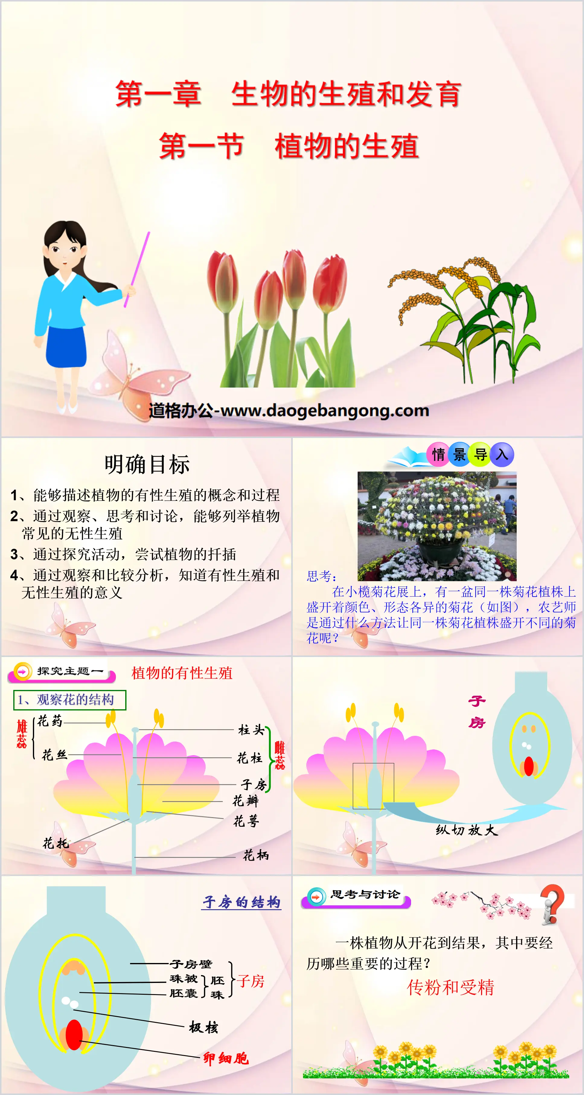 《植物的生殖》生物的生殖和发育PPT课件