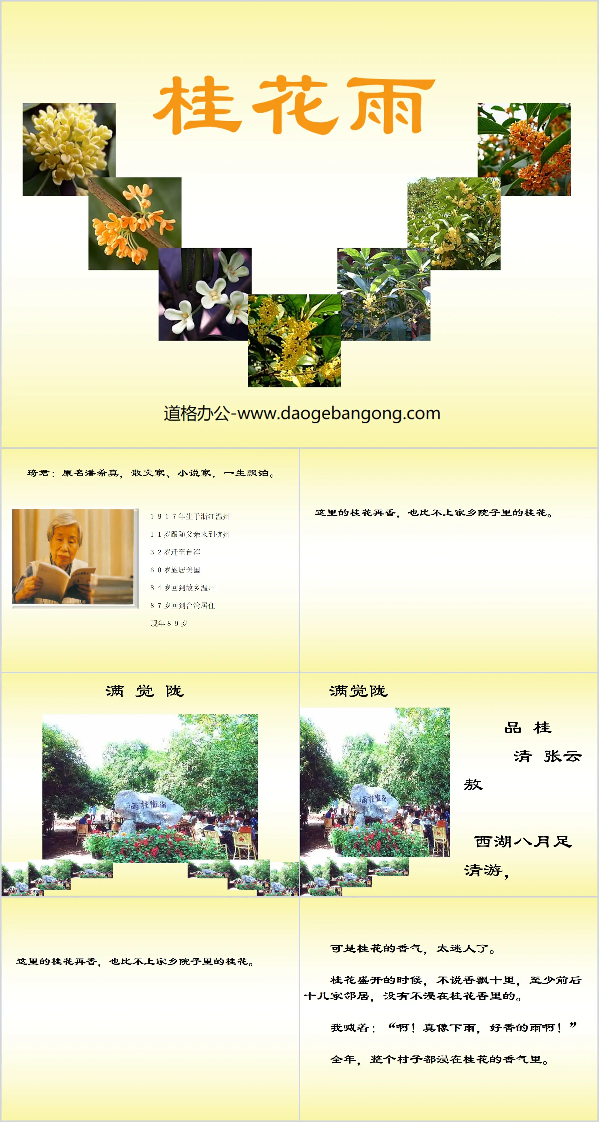 "Osmanthus Rain" PPT courseware