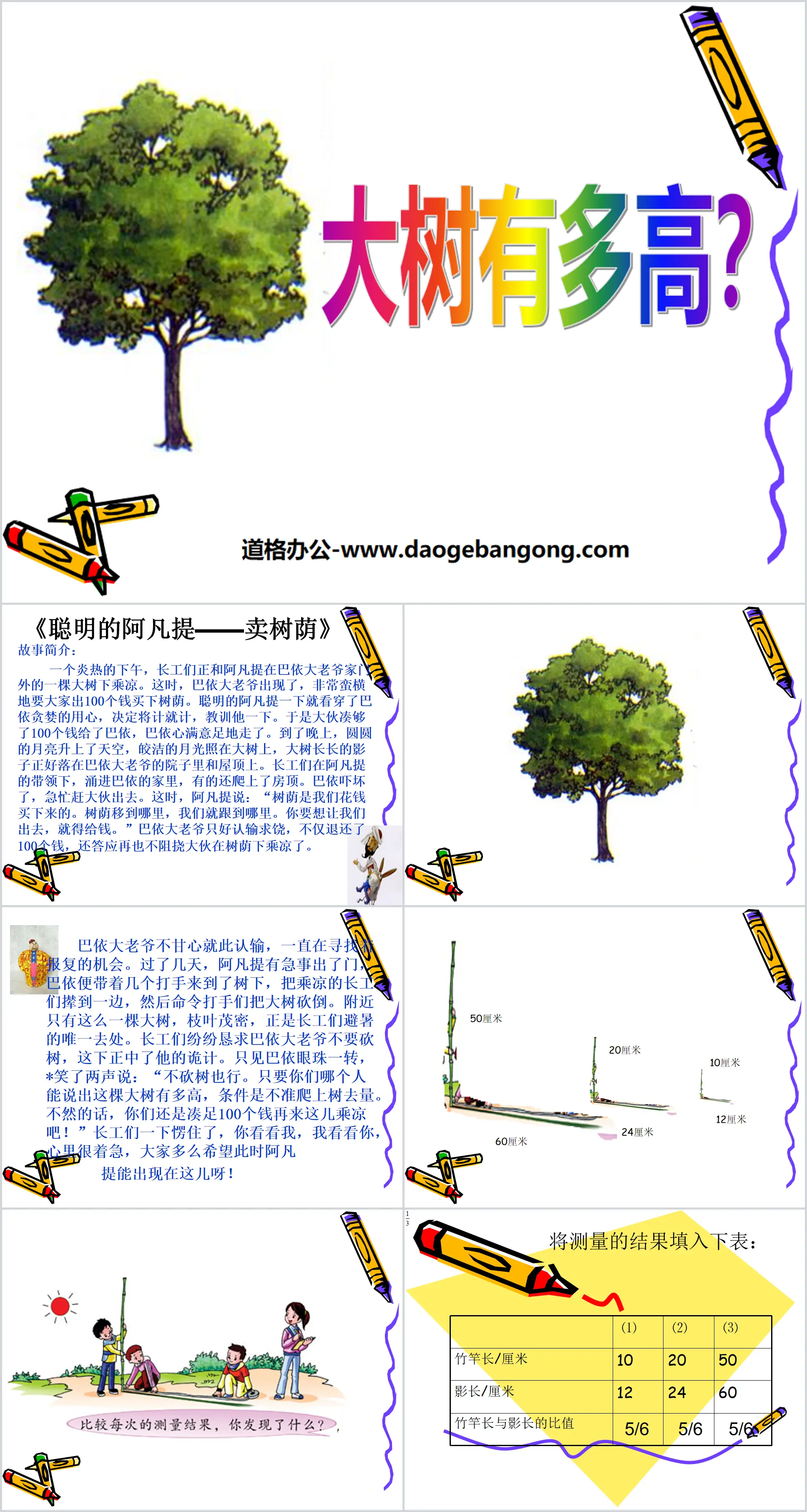 《大树有多高》正比例和反比例PPT课件2
