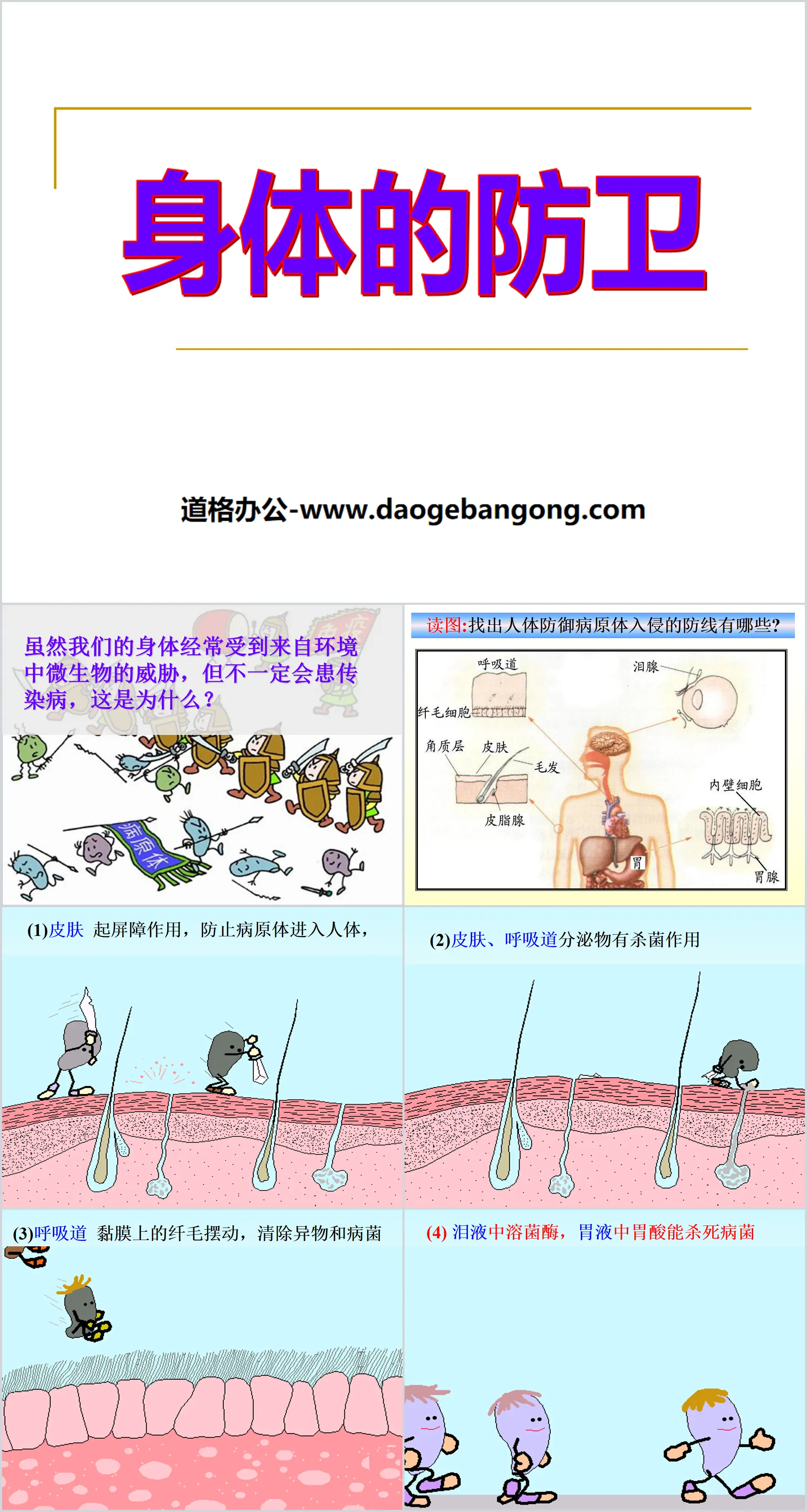 《身体的防卫》PPT
