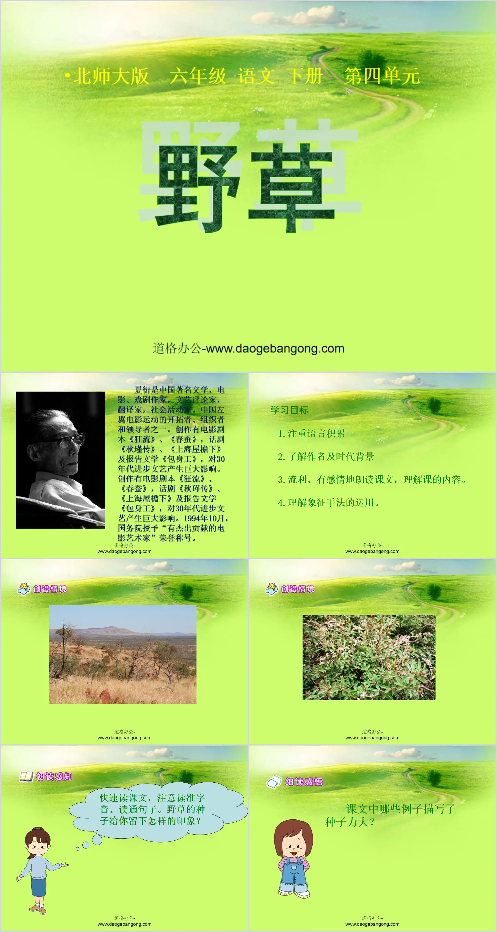 《野草》PPT课件2
