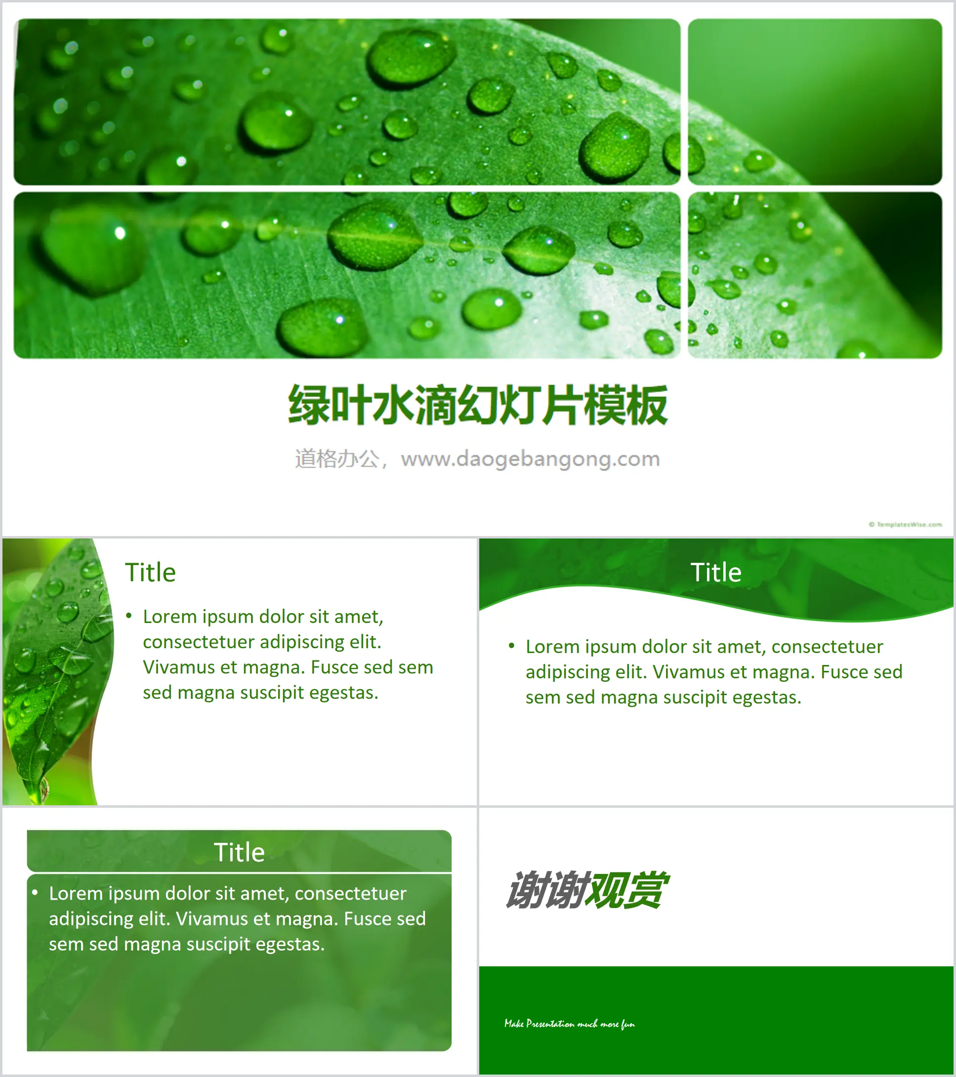 Green fresh leaves water drops PowerPoint template download