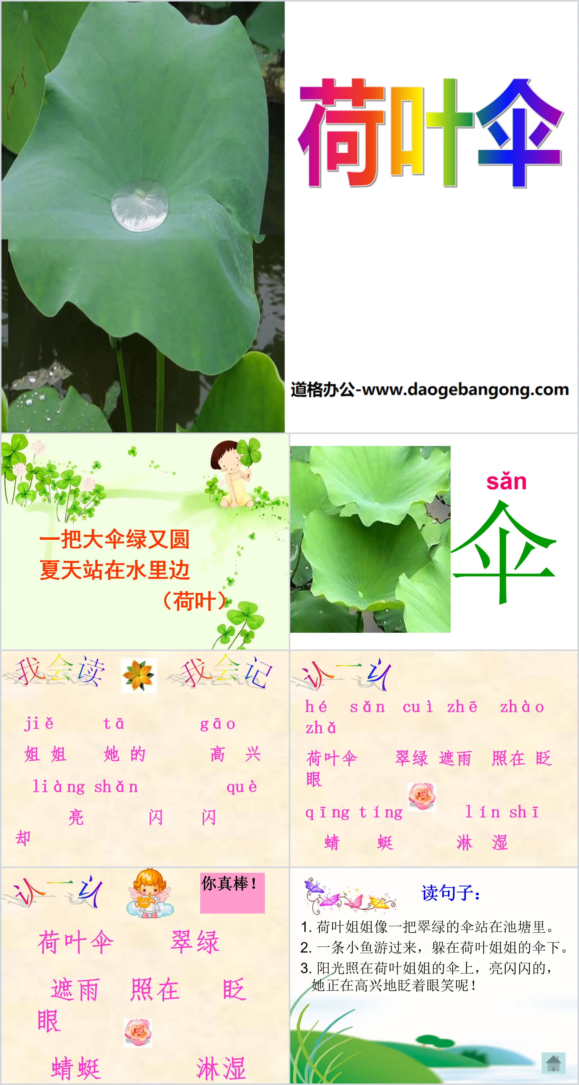 "Lotus Leaf Umbrella" PPT courseware