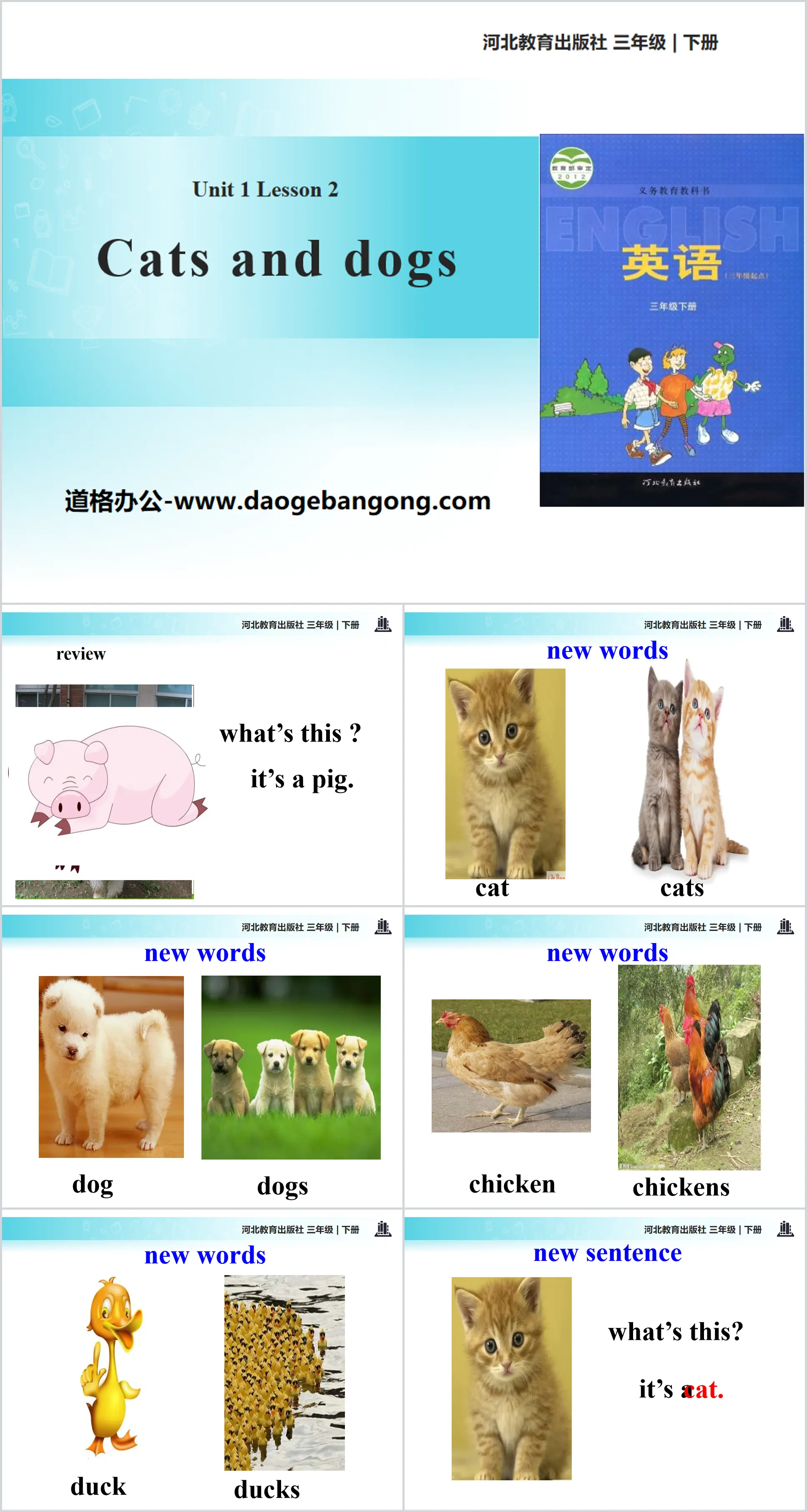 《Cats and dogs》Animals on the Farm PPT
