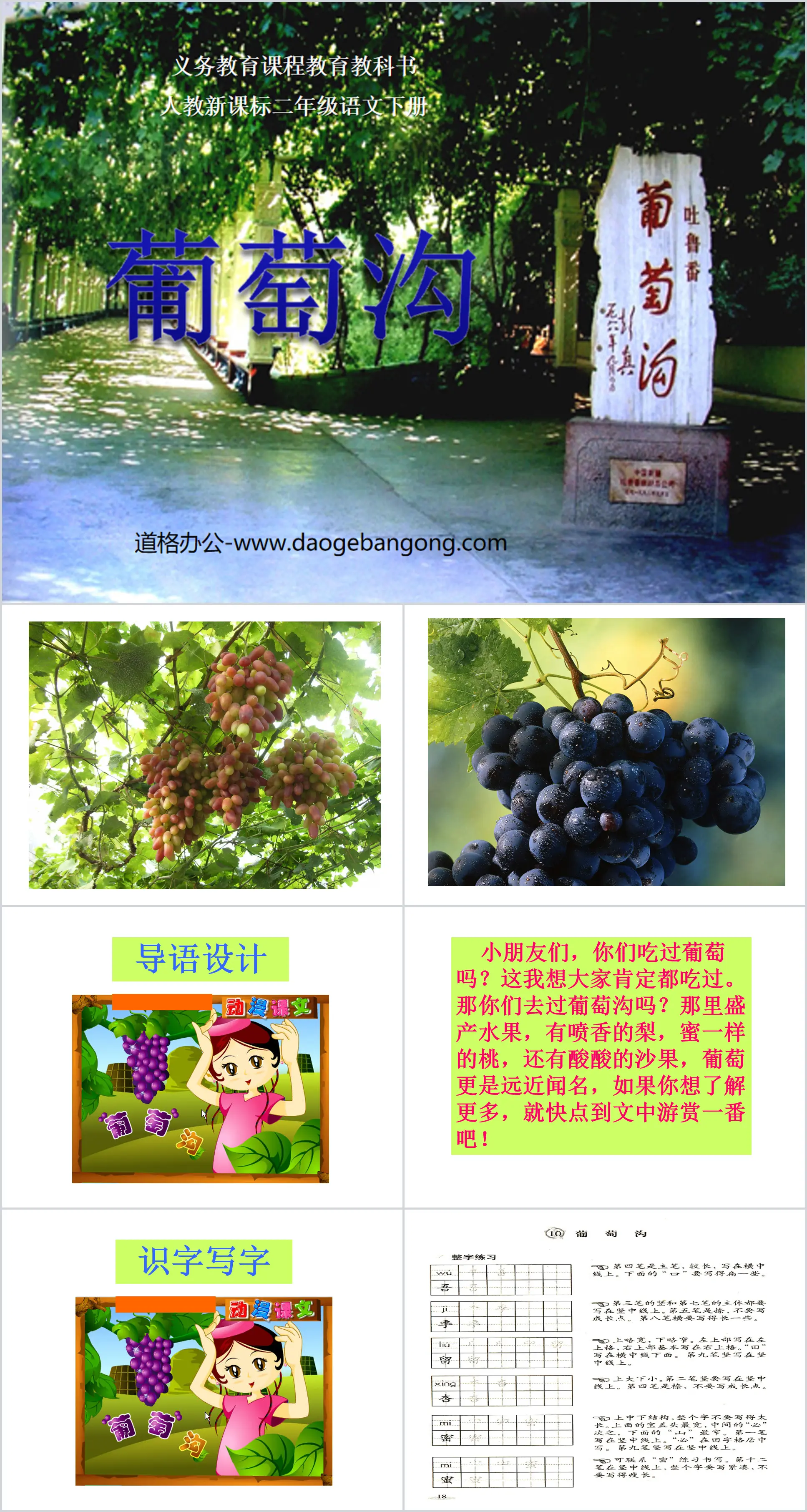 Didacticiel PPT « Grape Valley » 5