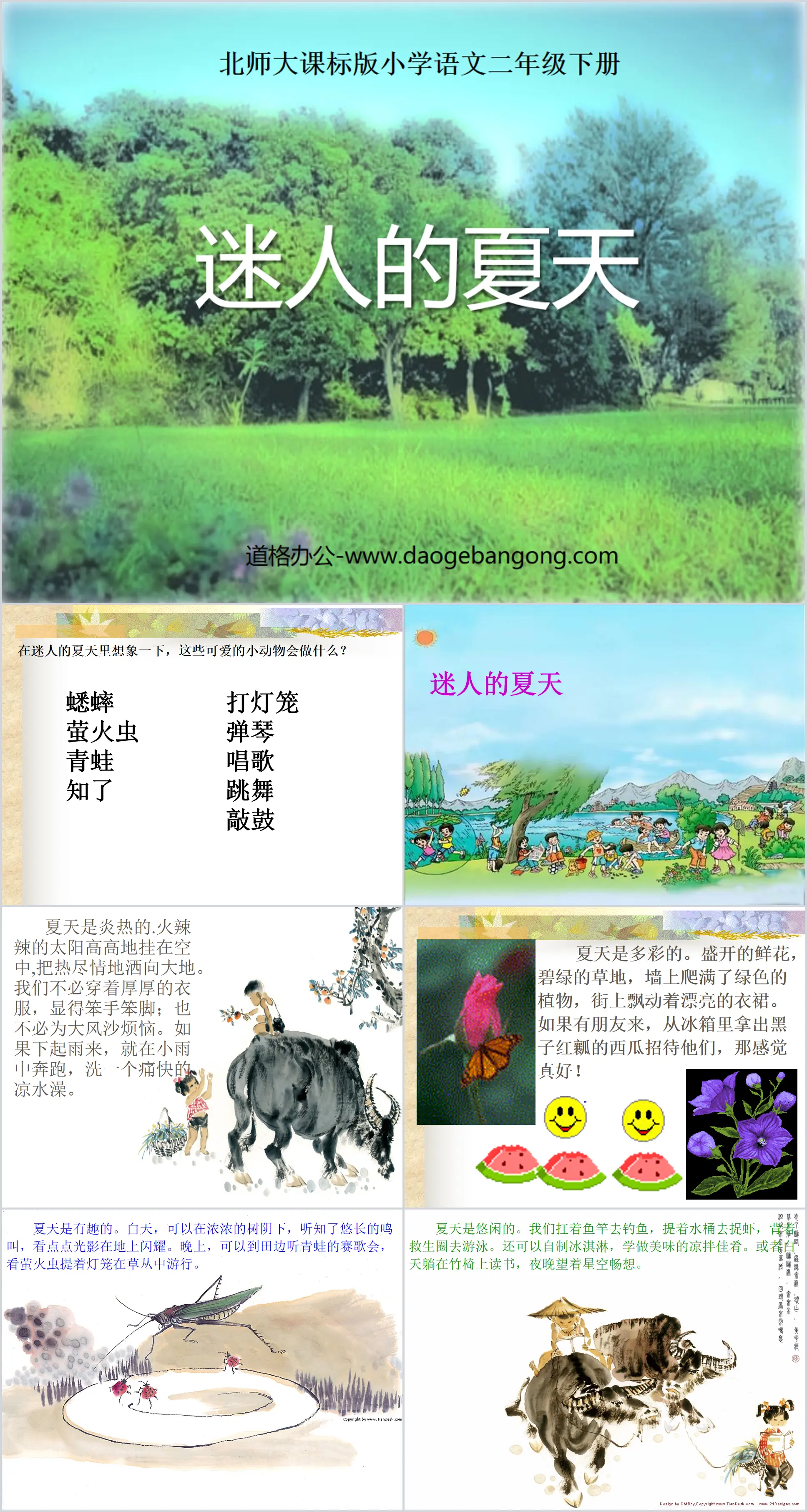 《迷人的夏天》PPT课件
