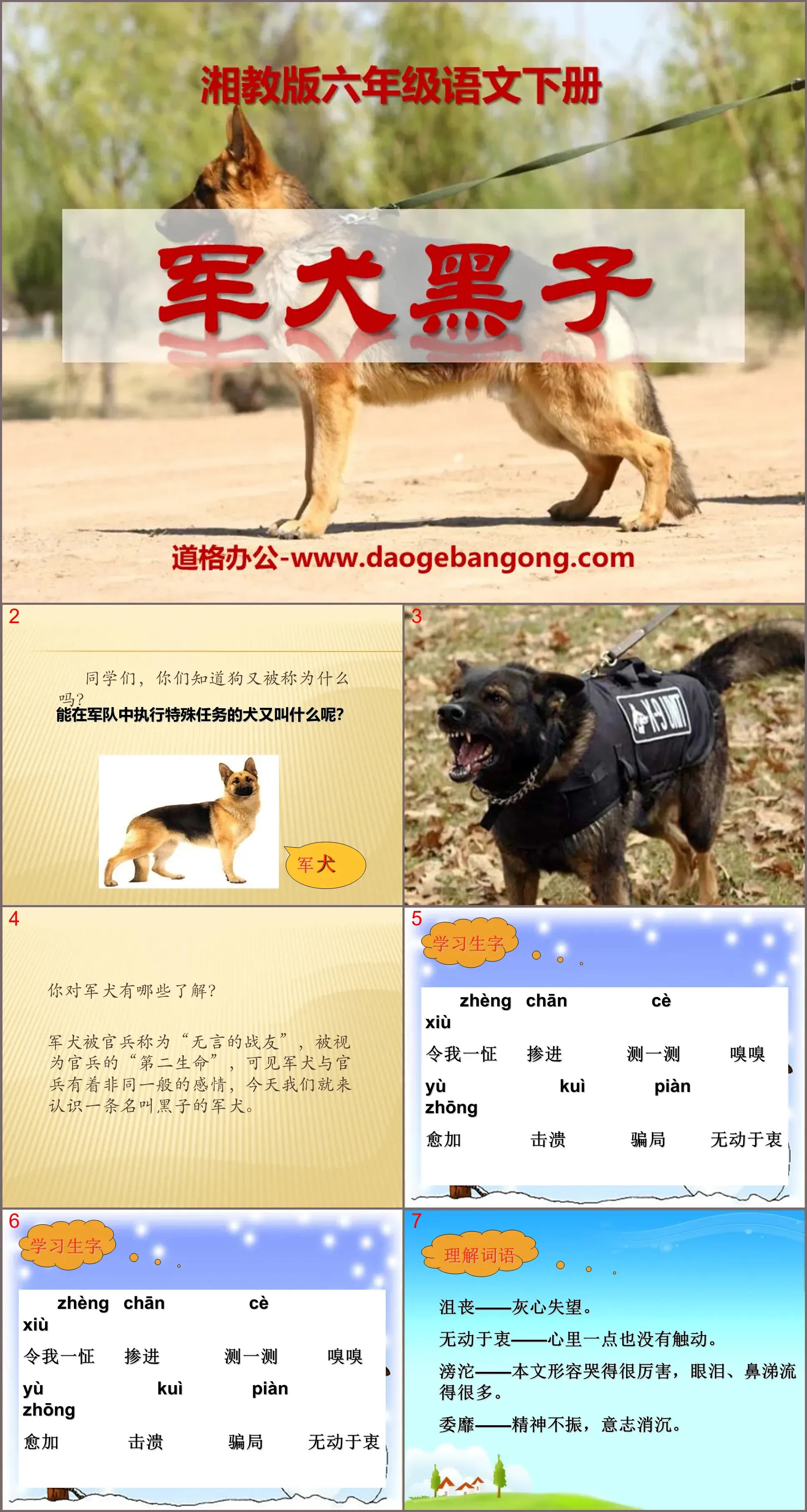 Didacticiel PPT "Chien militaire Heizi" 3