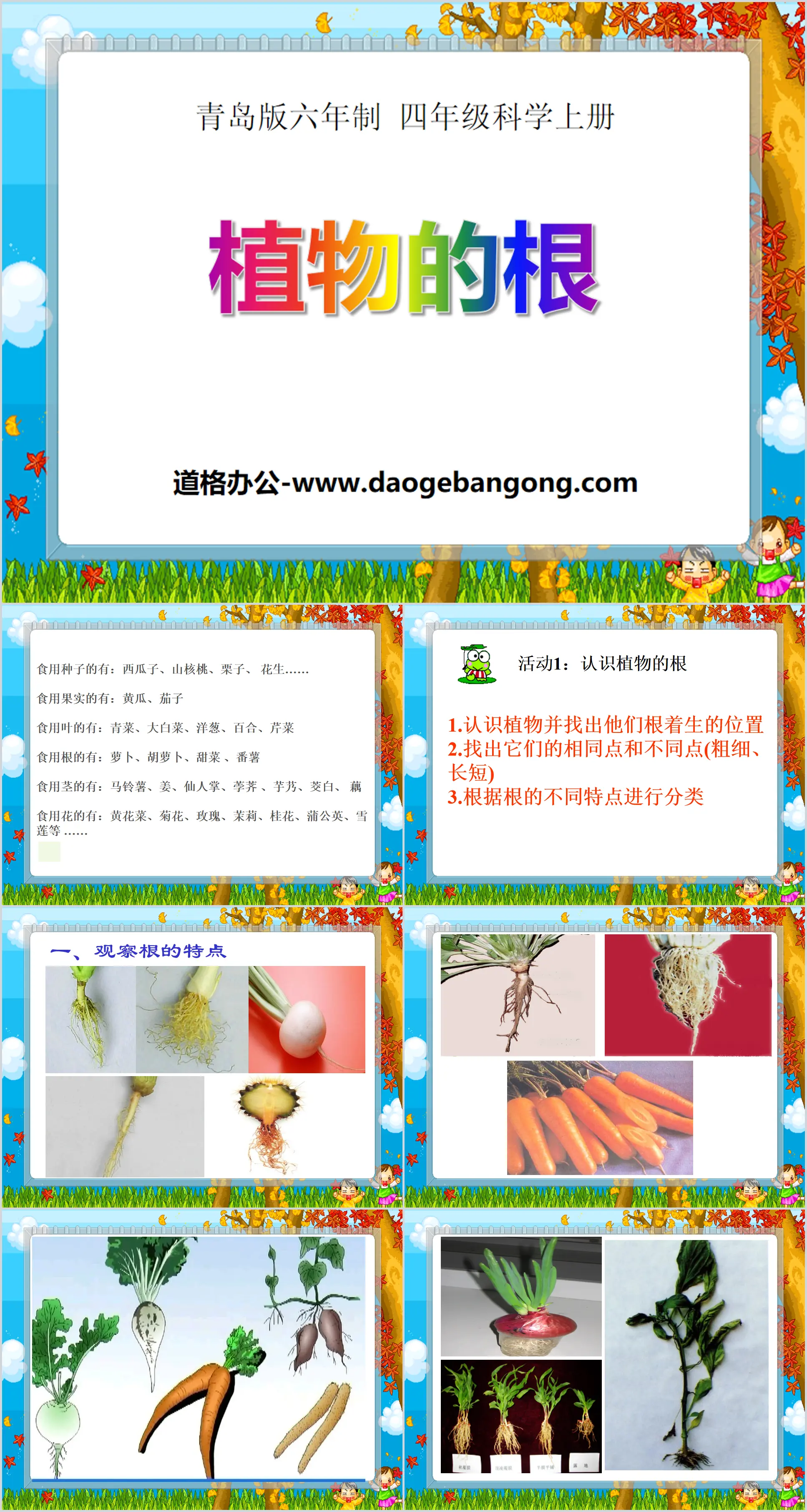 《植物的根》PPT