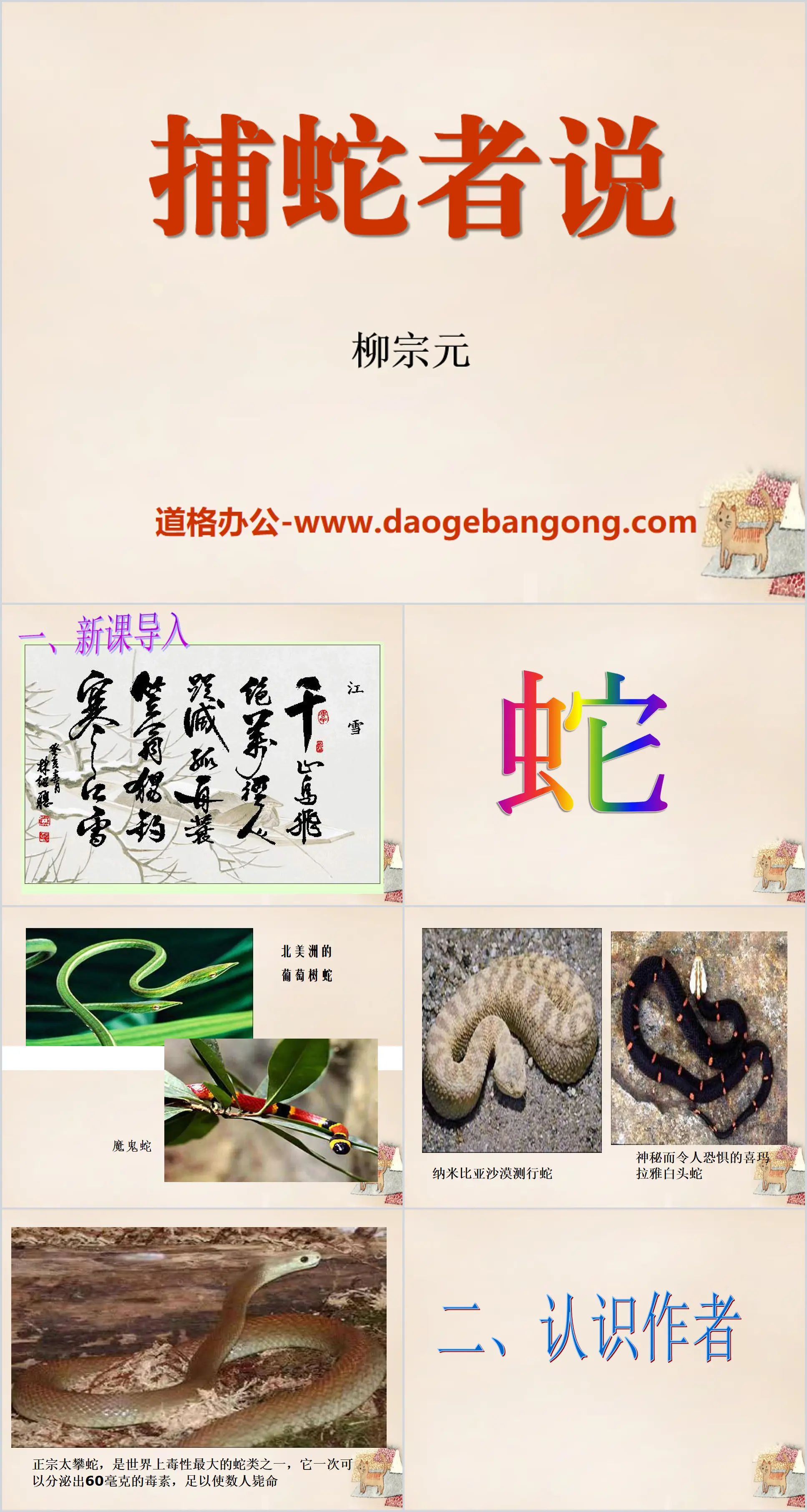 "The Snake Catcher" PPT Courseware 9