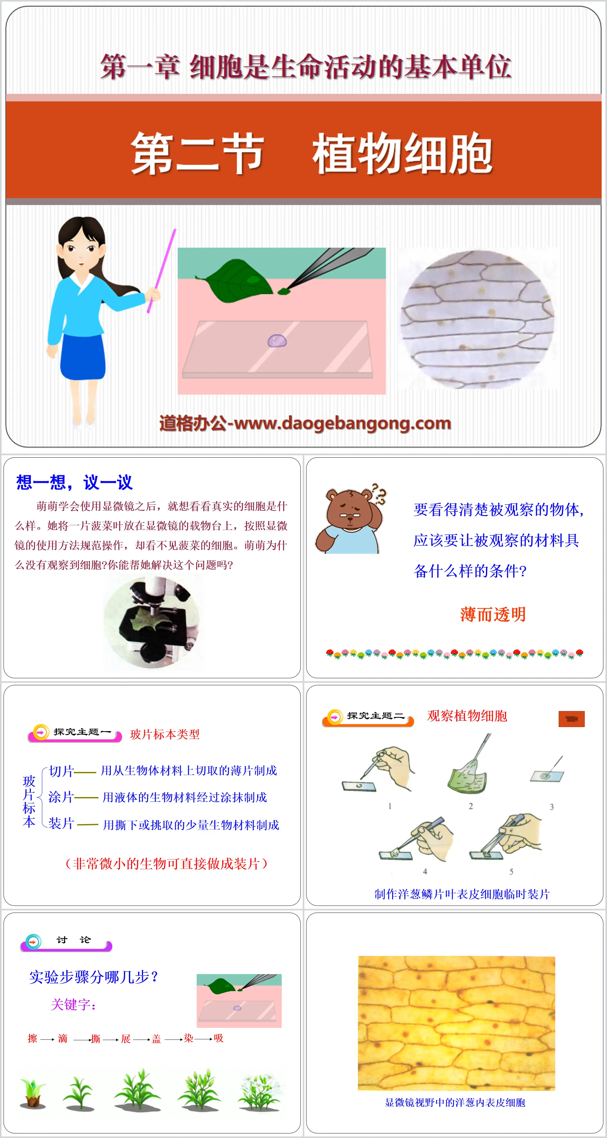 《植物細胞》細胞是生命活動的基本單位PPT課件3