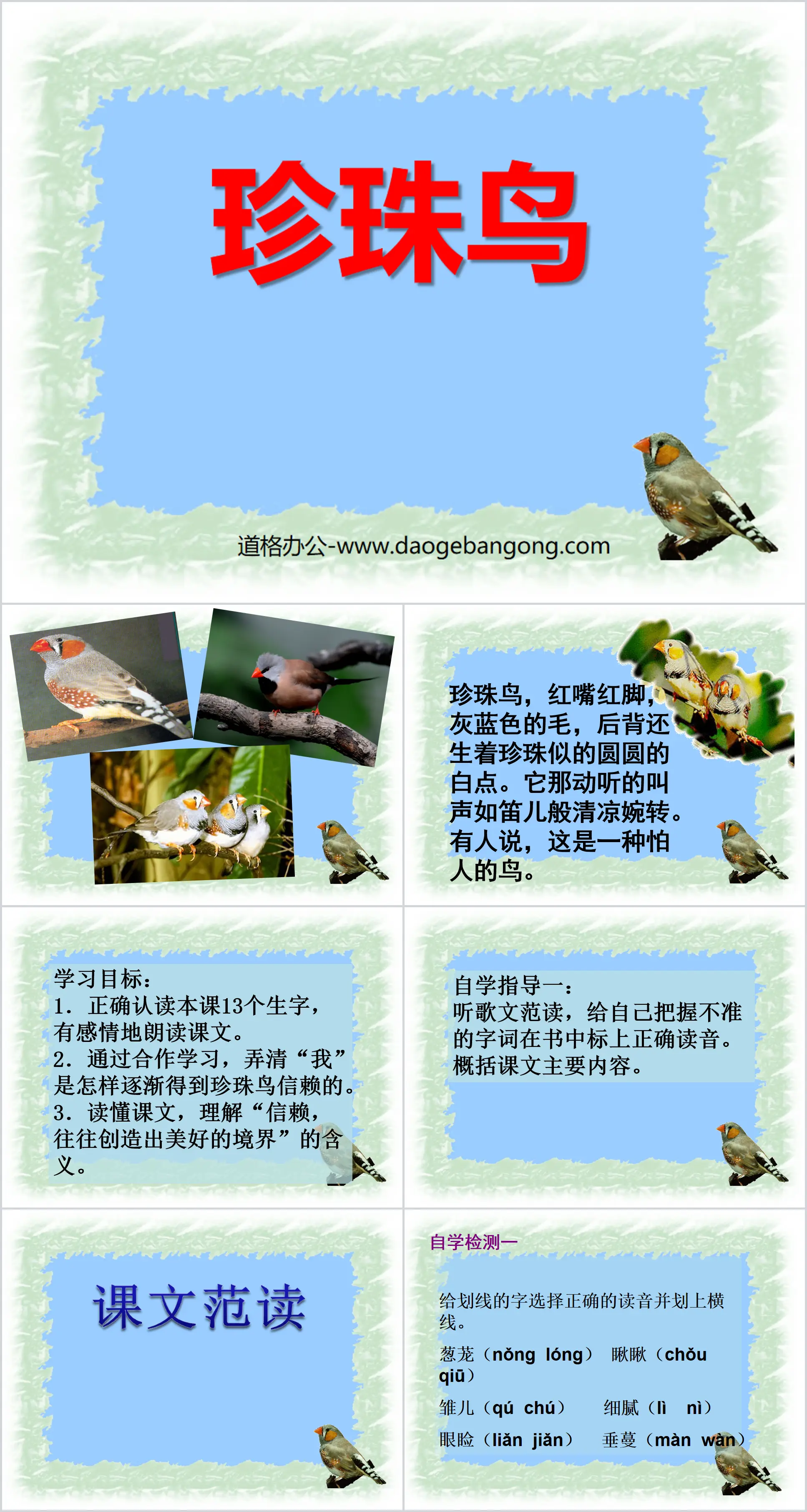 "Pearl Bird" PPT courseware 11