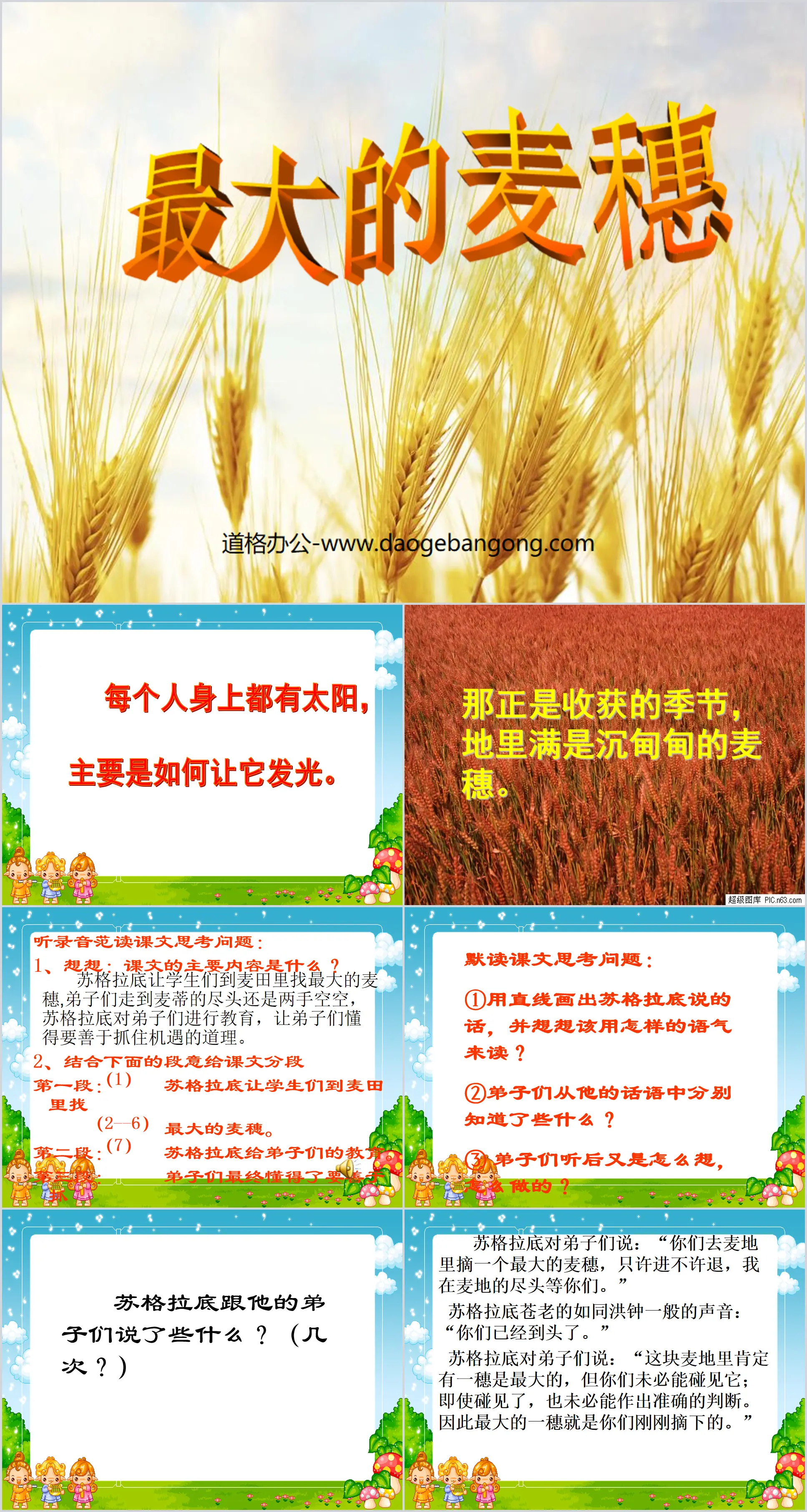 "The Biggest Ear of Wheat" PPT Courseware 5