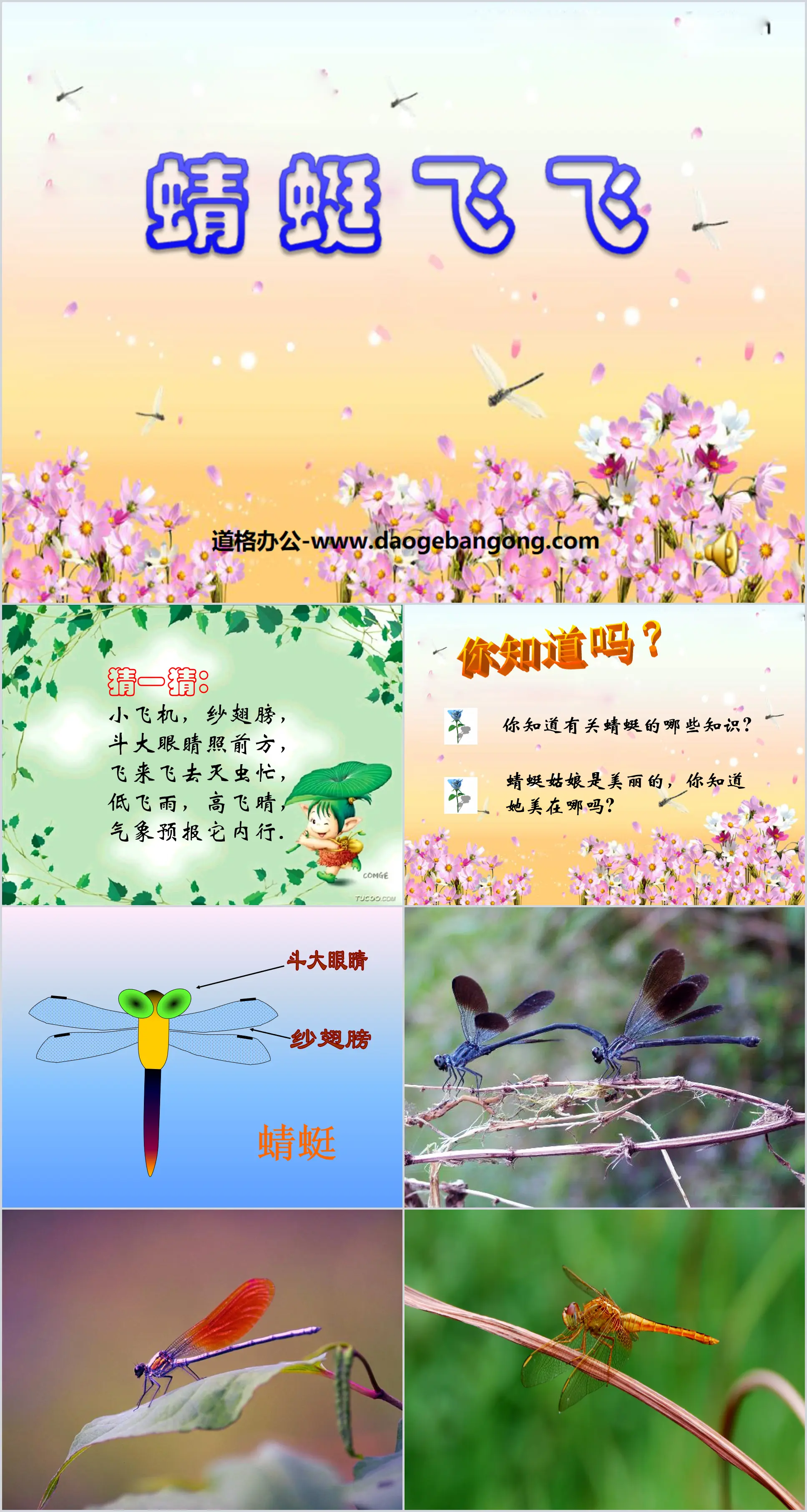 Didacticiel PPT « Dragonfly Flying » 2