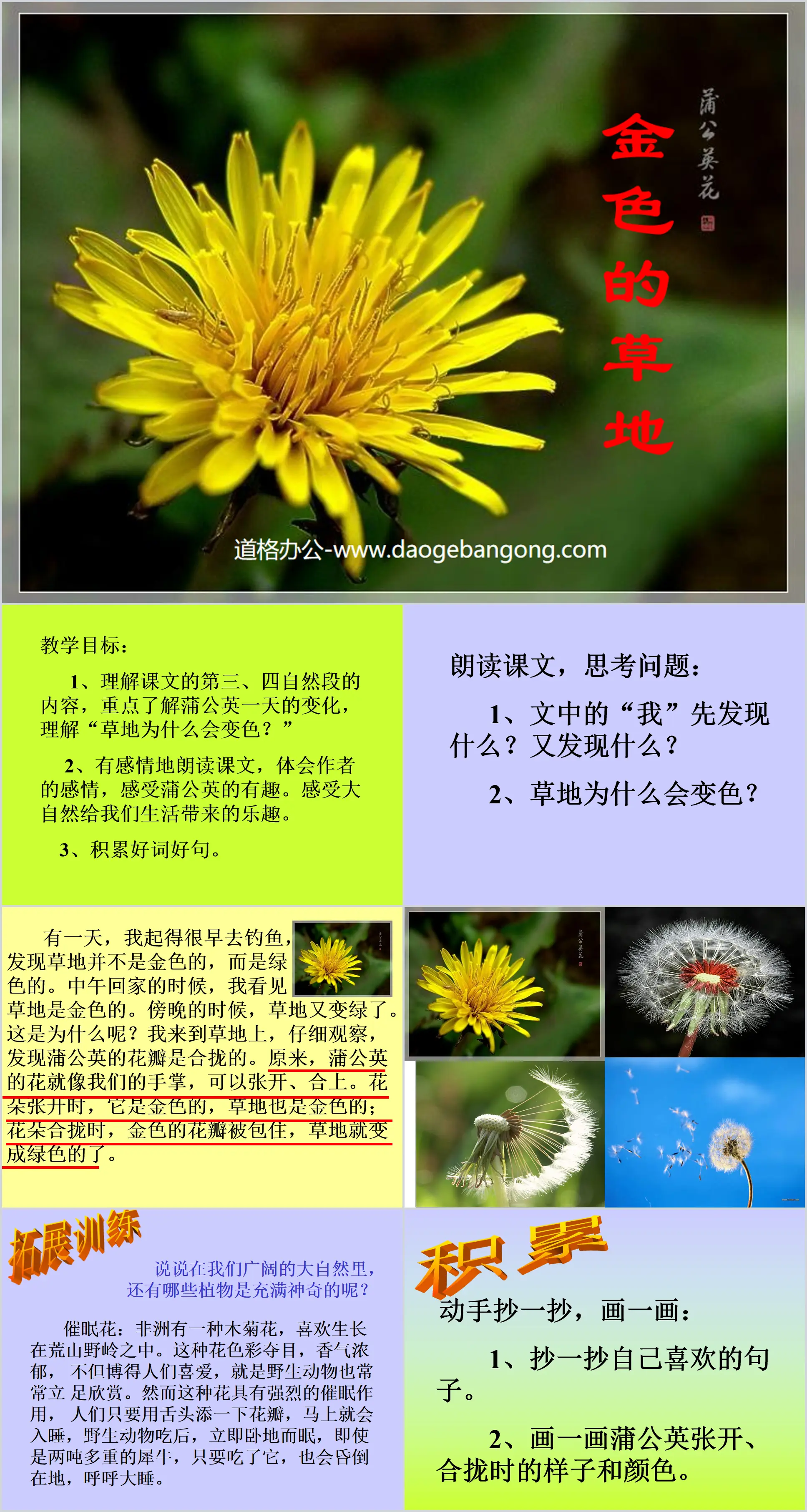 《金色的草地》PPT教学课件下载2