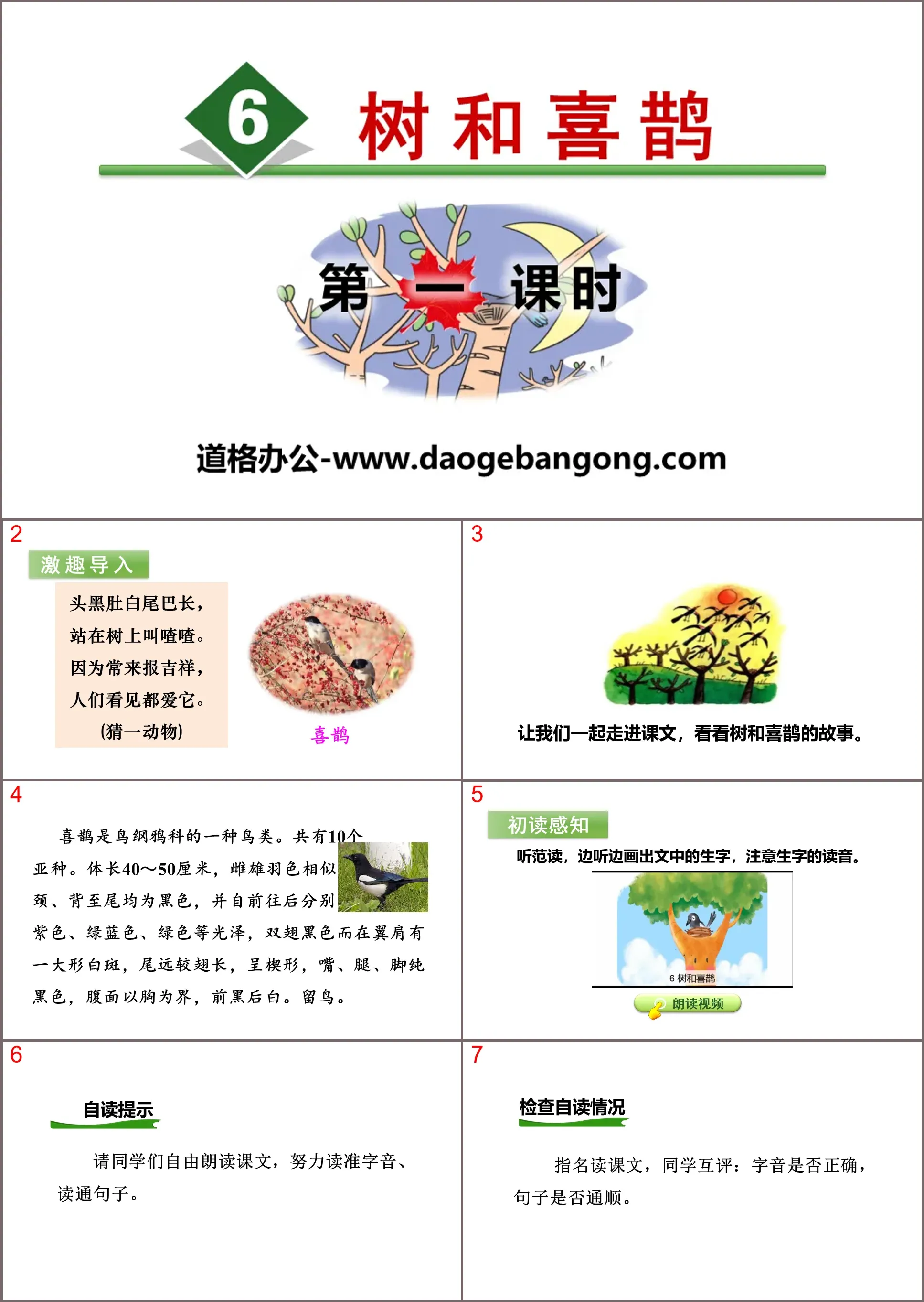 《树和喜鹊》PPT(第一课时)