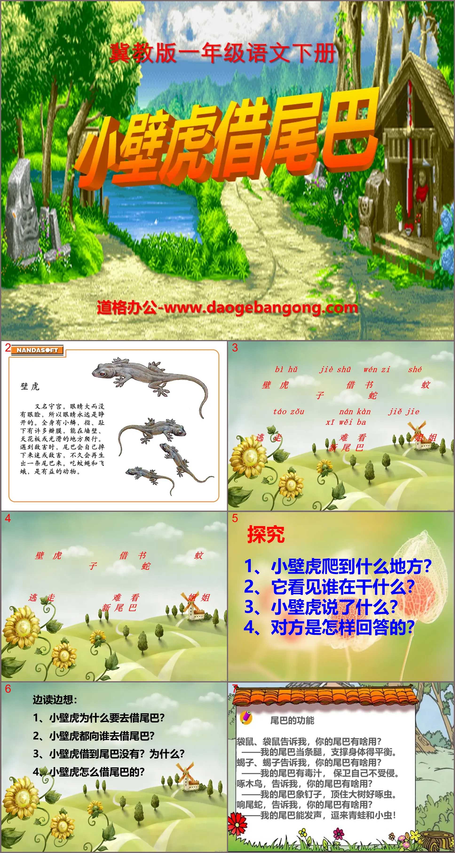 《小壁虎借尾巴》PPT課件12