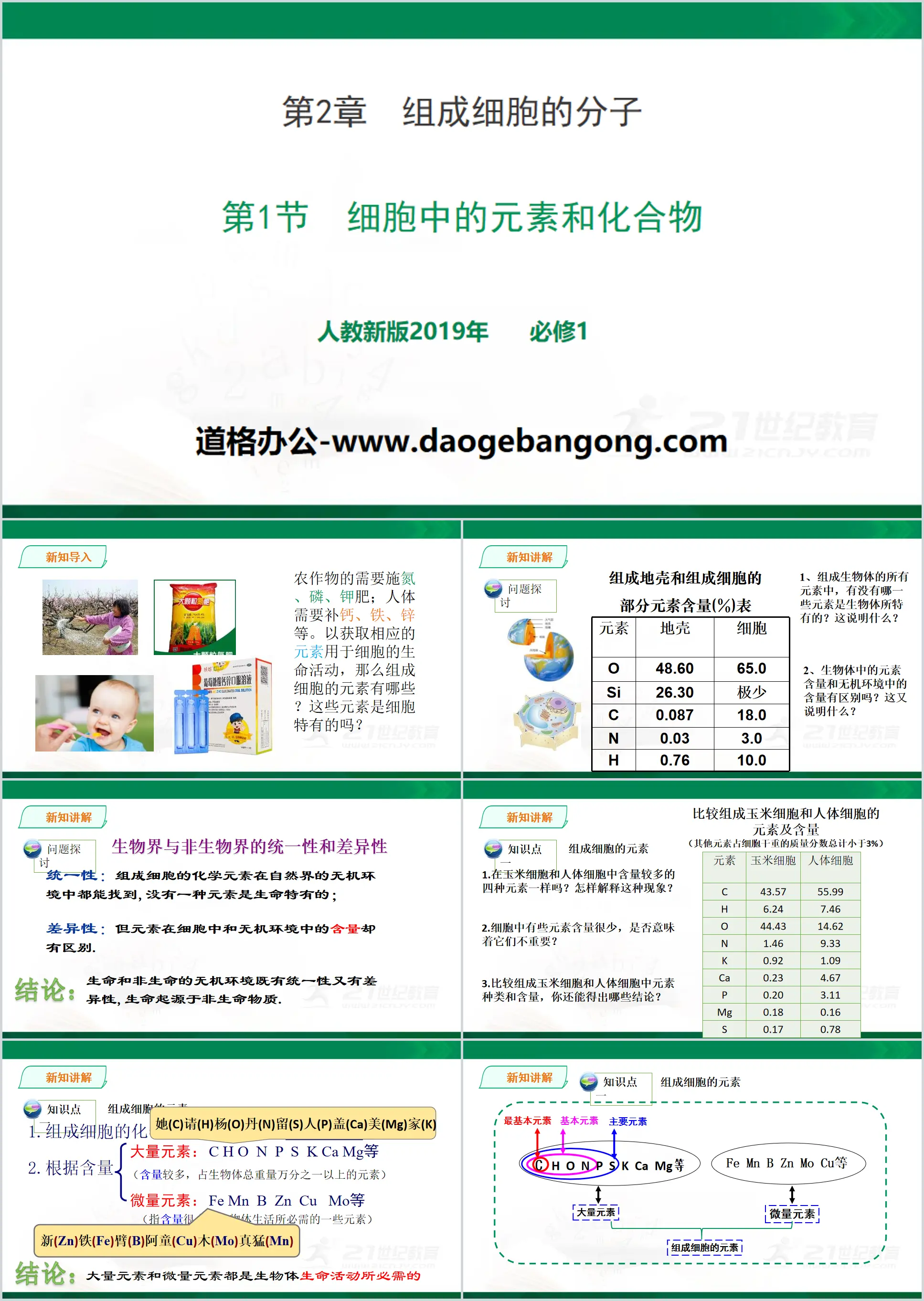 《细胞中的元素和化合物》组成细胞的分子PPT下载
