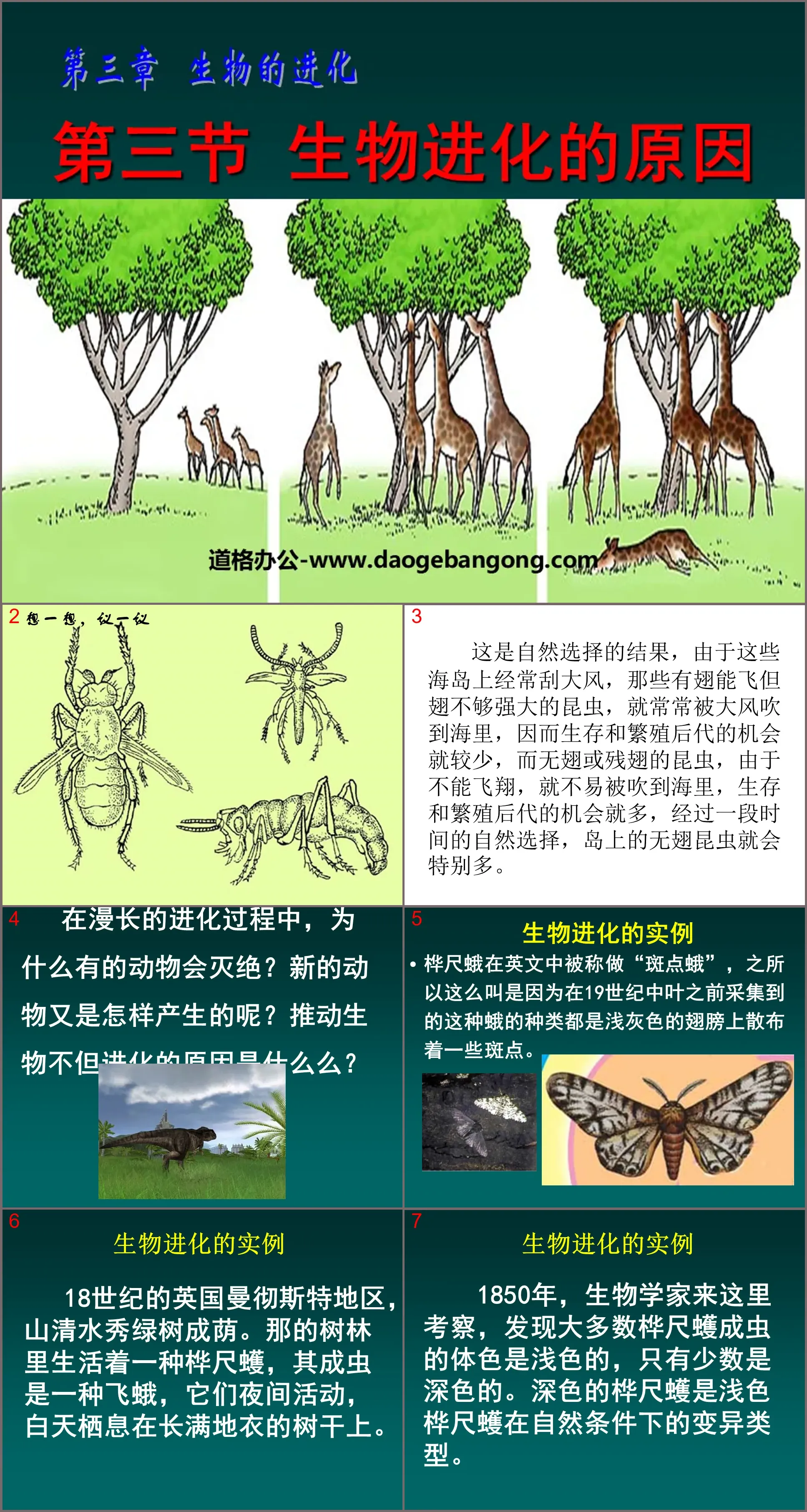 "Causes of Biological Evolution" Biological Evolution PPT Courseware