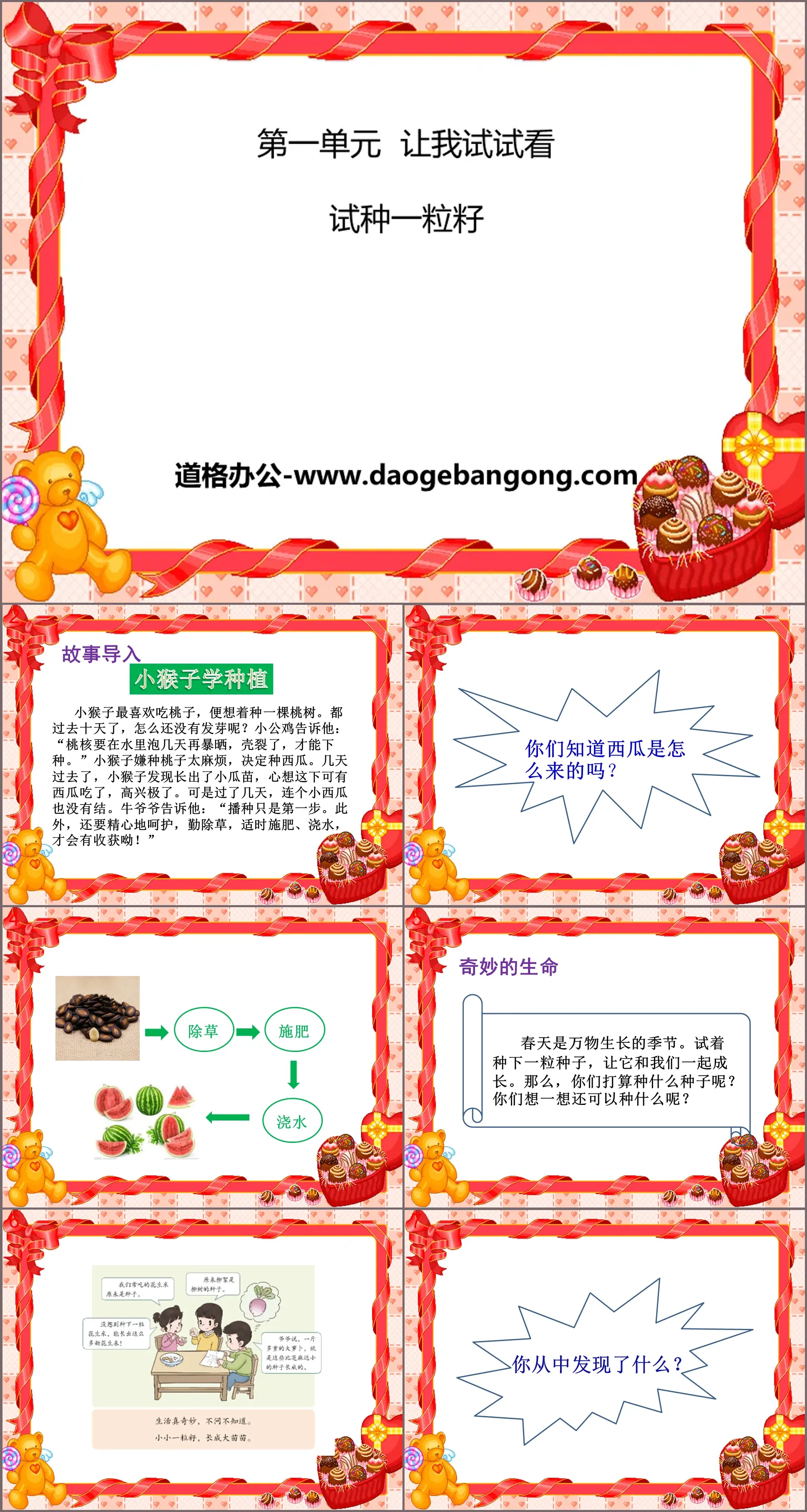 《试种一粒籽》PPT
