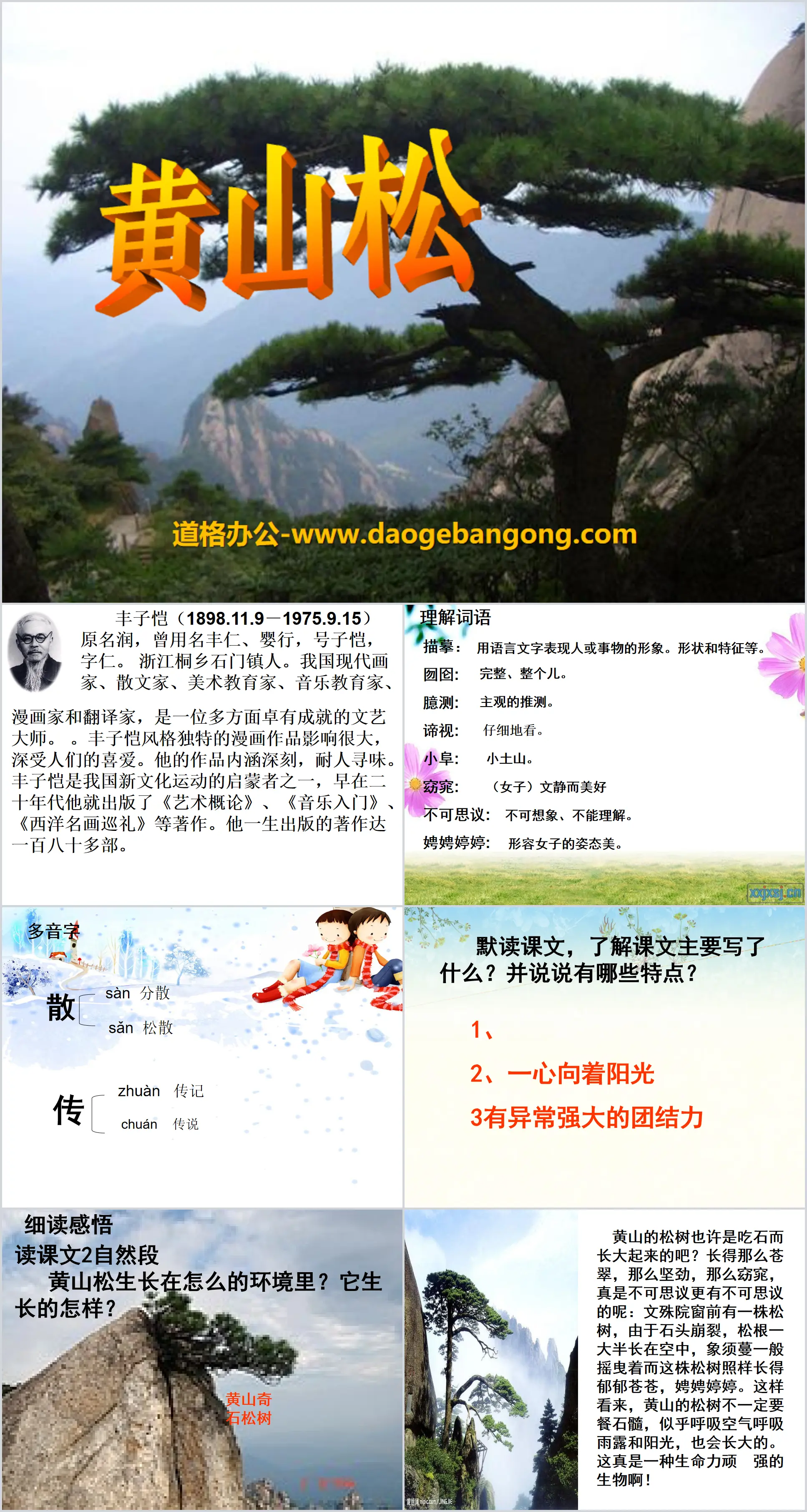 Didacticiel PPT « Pin de Huangshan » 5