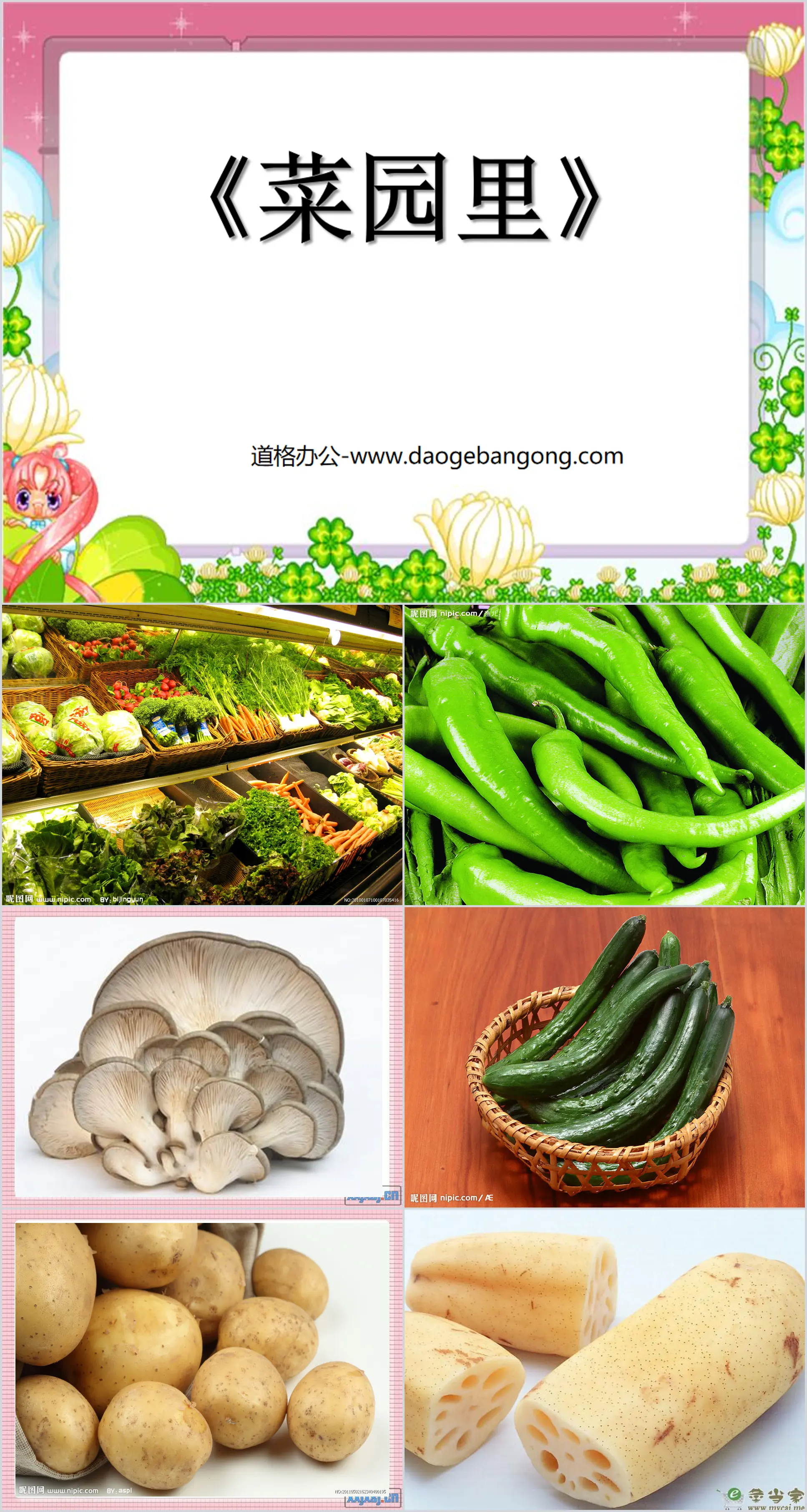 "In the Vegetable Garden" PPT courseware 6