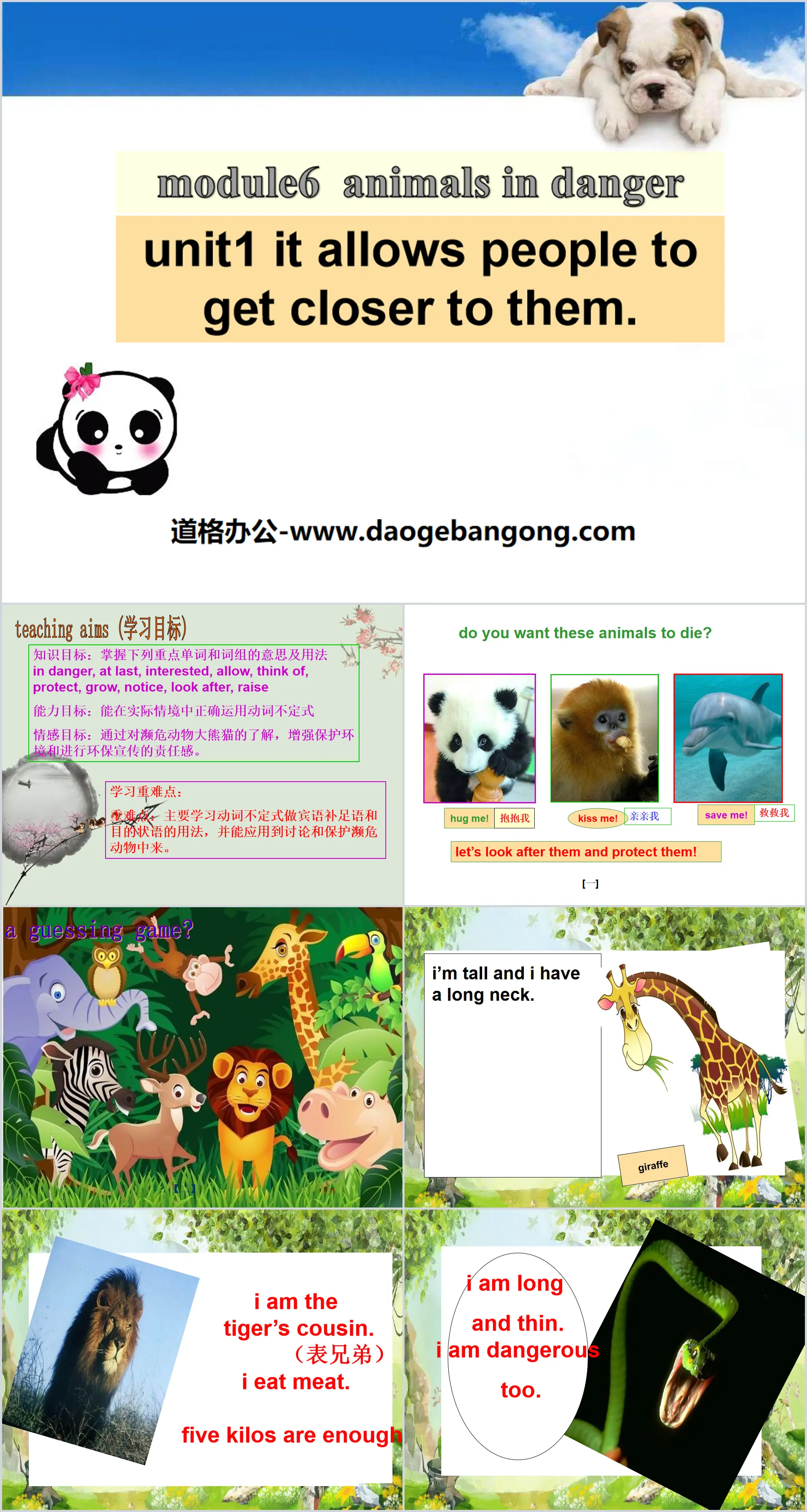 《It allows people to get closer to them》Animals in danger PPT课件2
