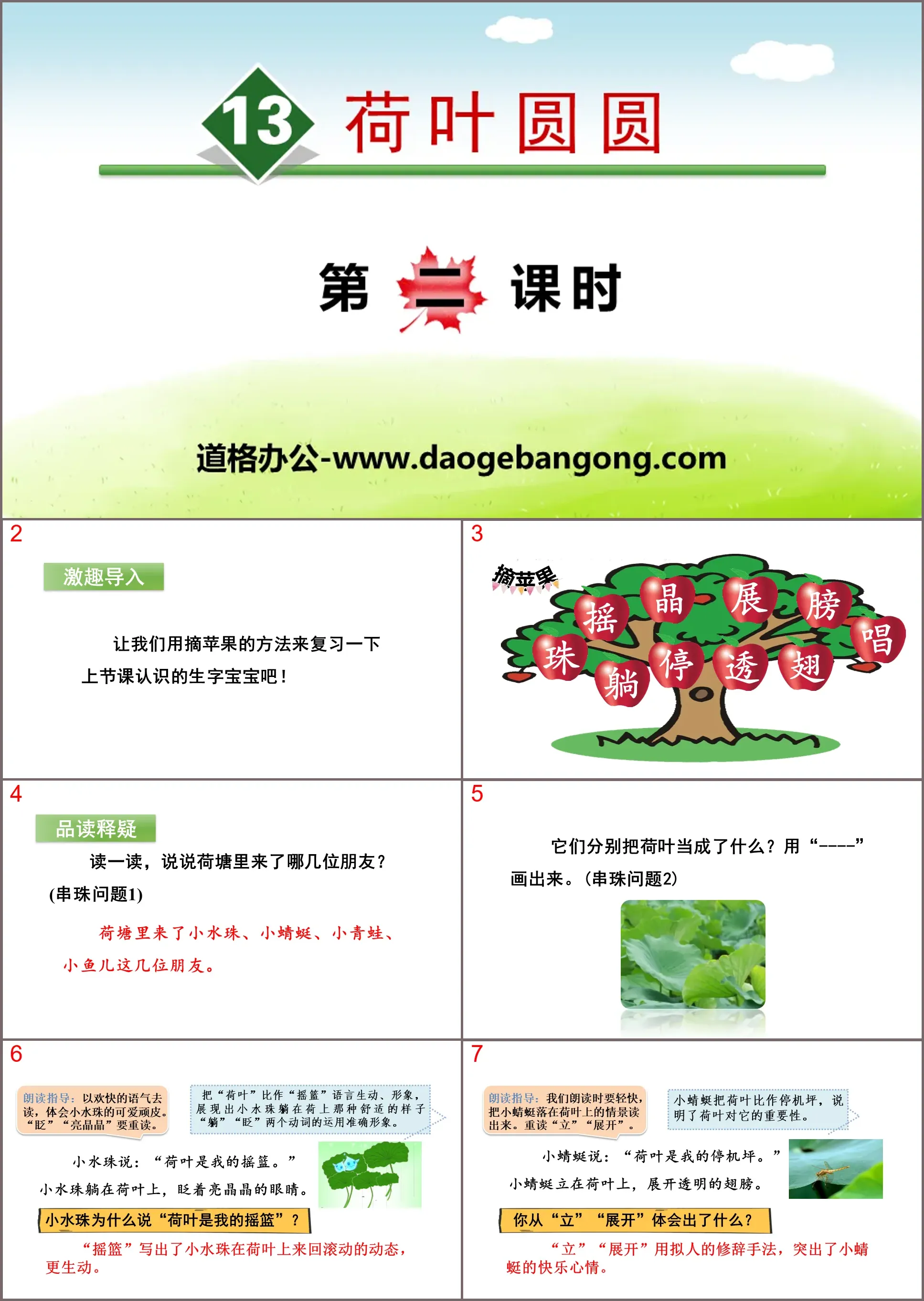 《荷葉圓圓》PPT(第二課時)