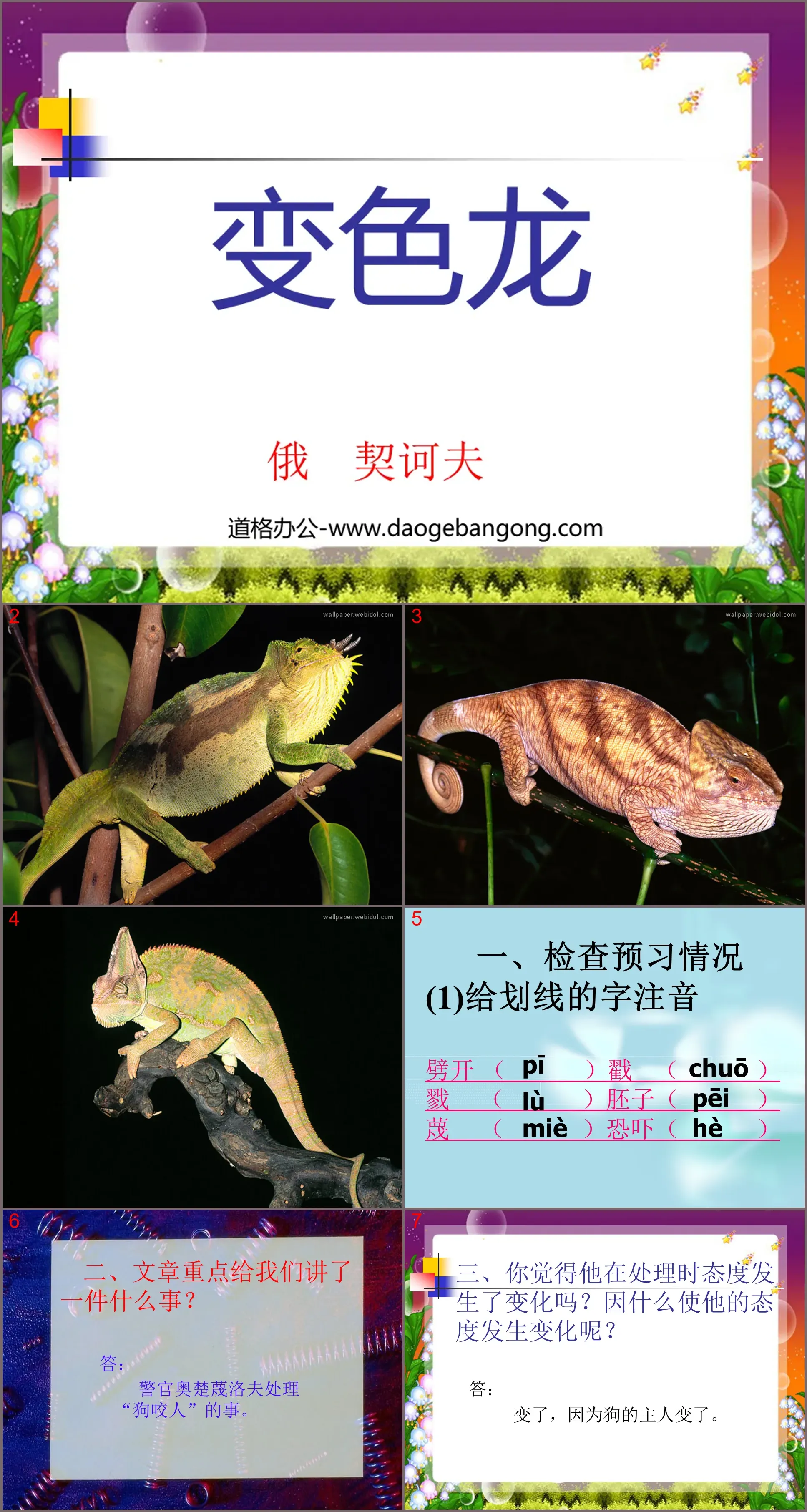 "Chameleon" PPT courseware download 2