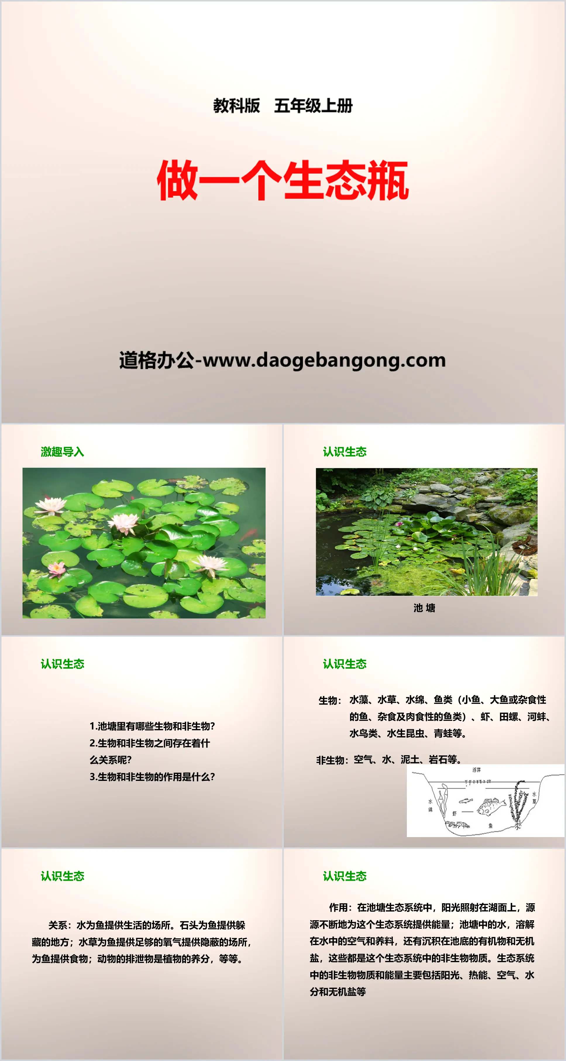 《做一个生态瓶》生物与环境PPT
