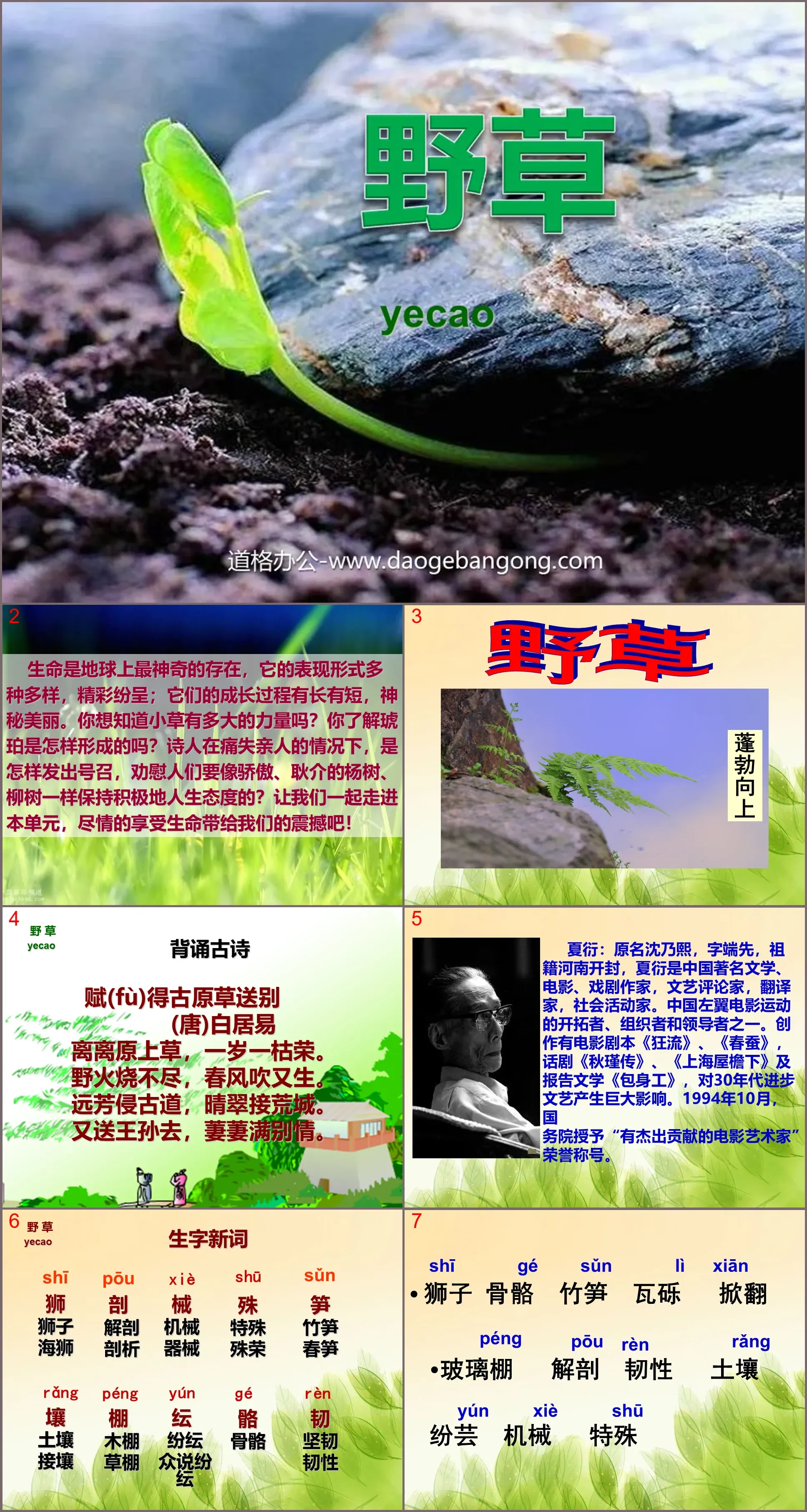 《野草》PPT课件3