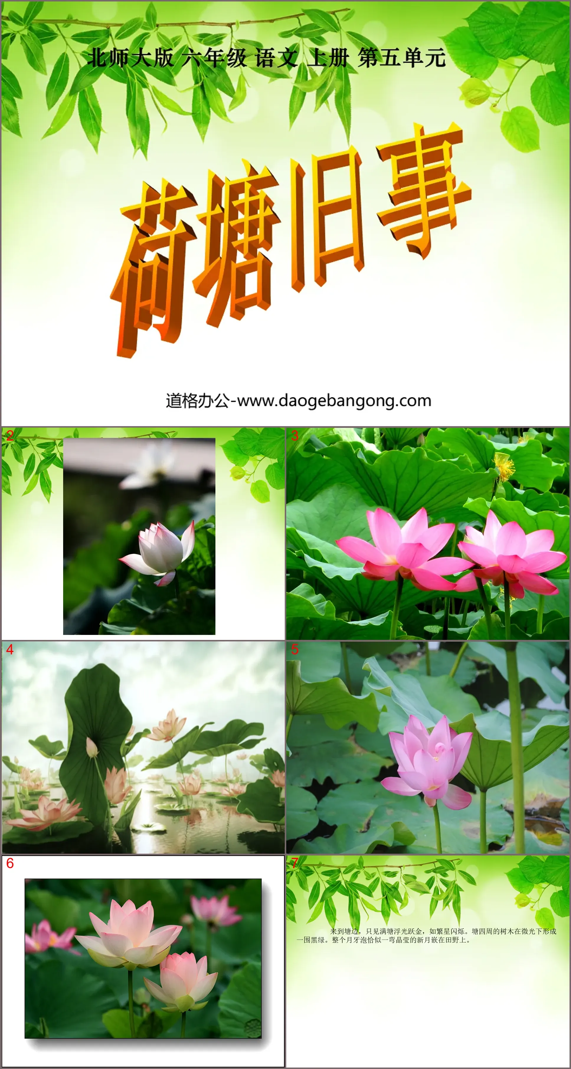 "Old Things in the Lotus Pond" PPT Courseware 4