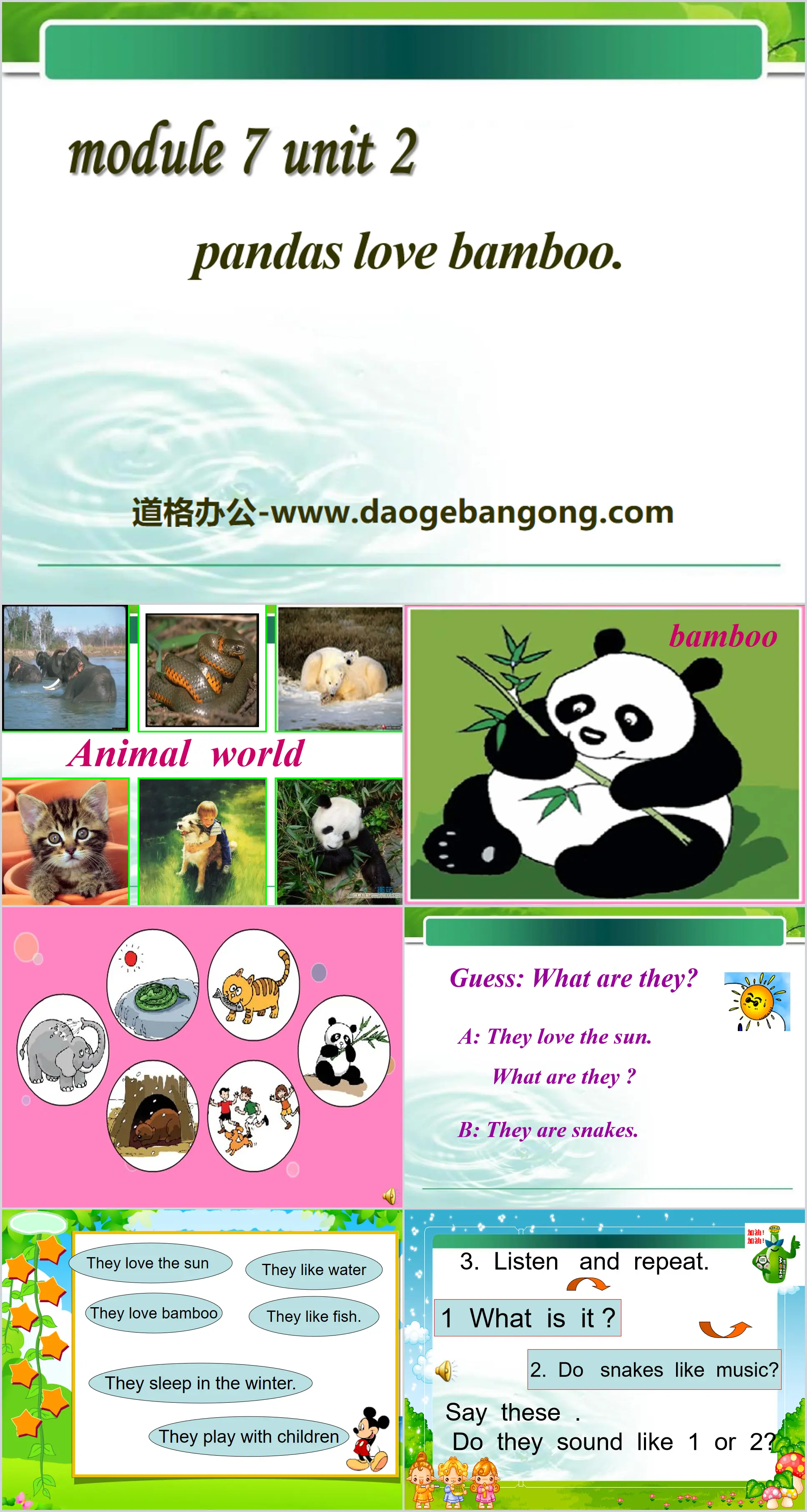 "Pandas love bamboo" PPT courseware 2