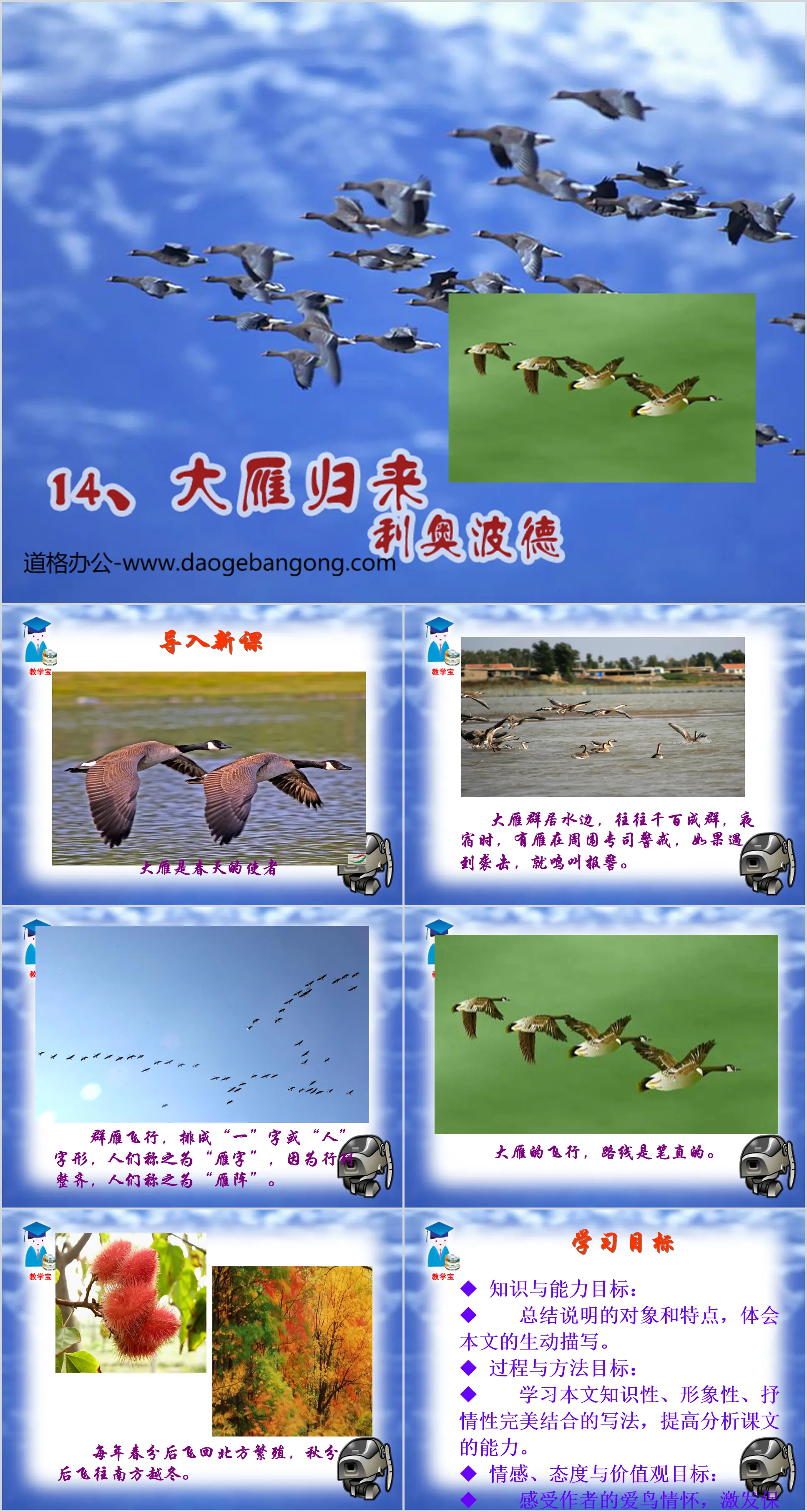 "The Return of the Wild Geese" PPT Courseware 3