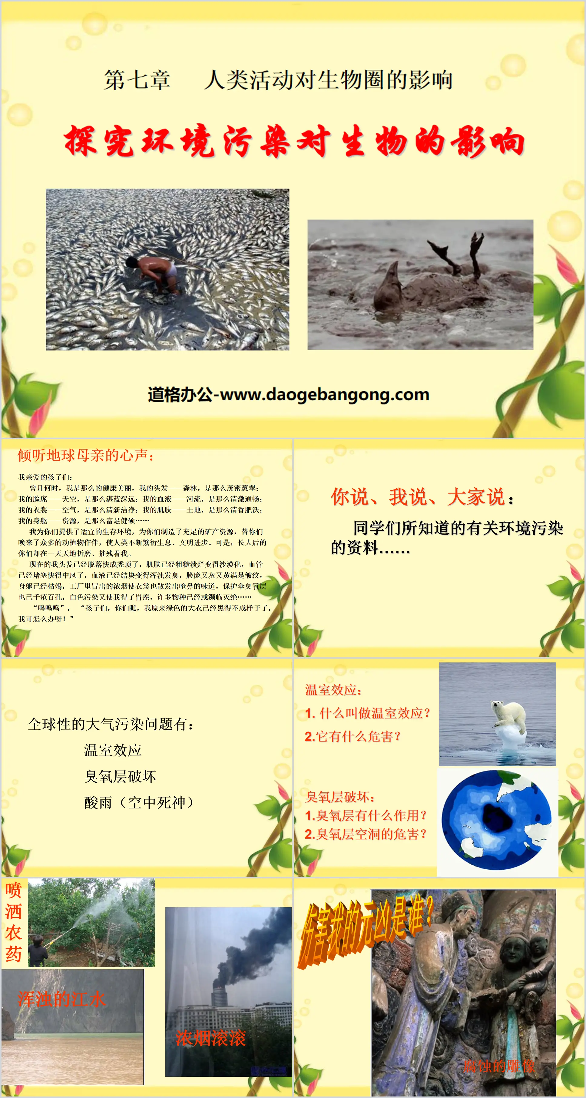 《探究环境污染对生物的影响》人类活动对生物圈的影响PPT课件
