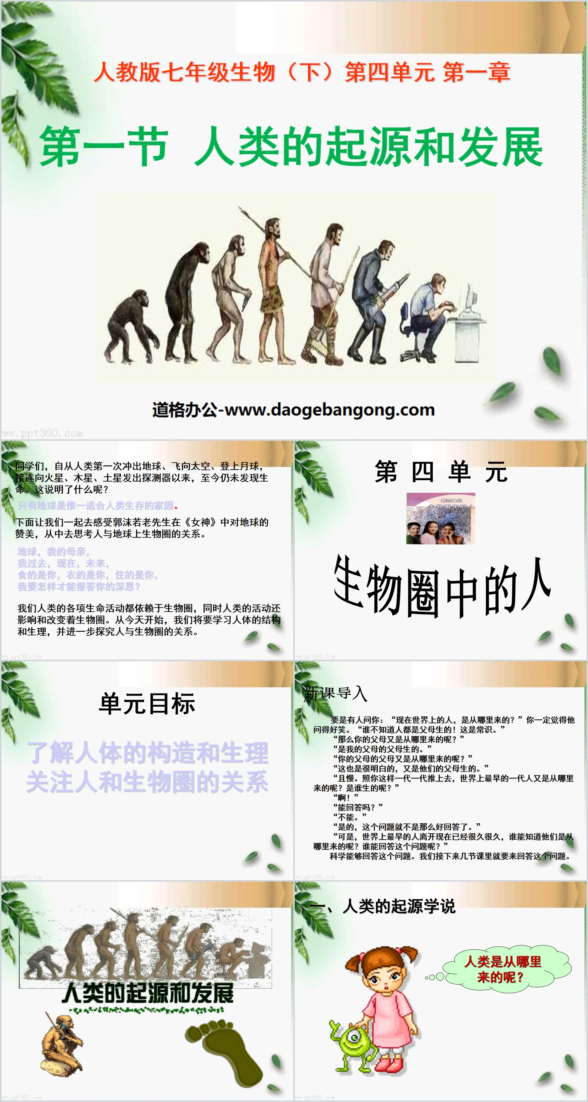 《人类的起源和发展》人的由来PPT课件4
