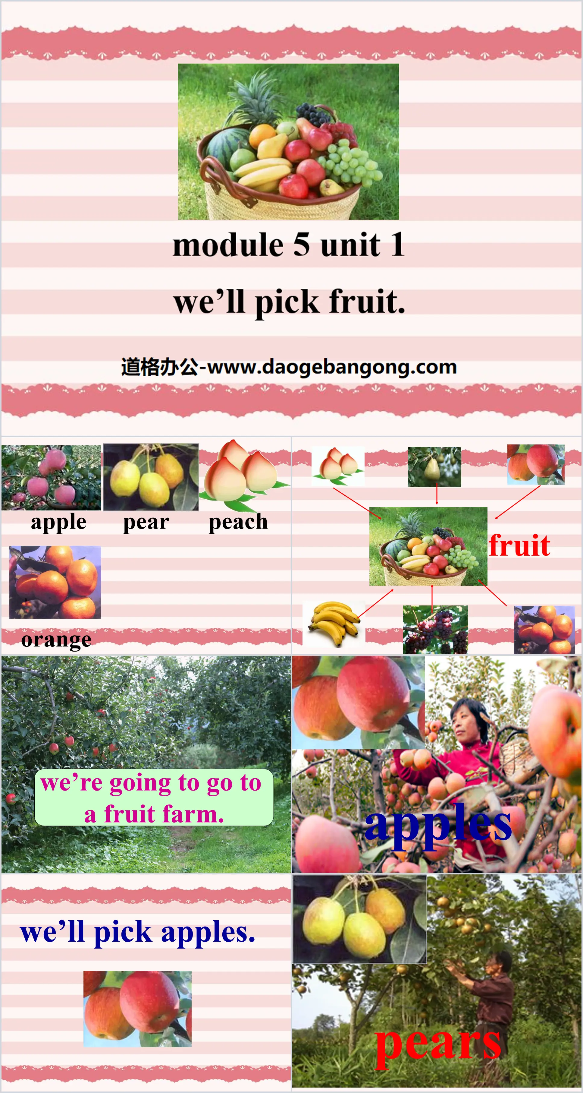 《We'll pick fruit》PPT课件2
