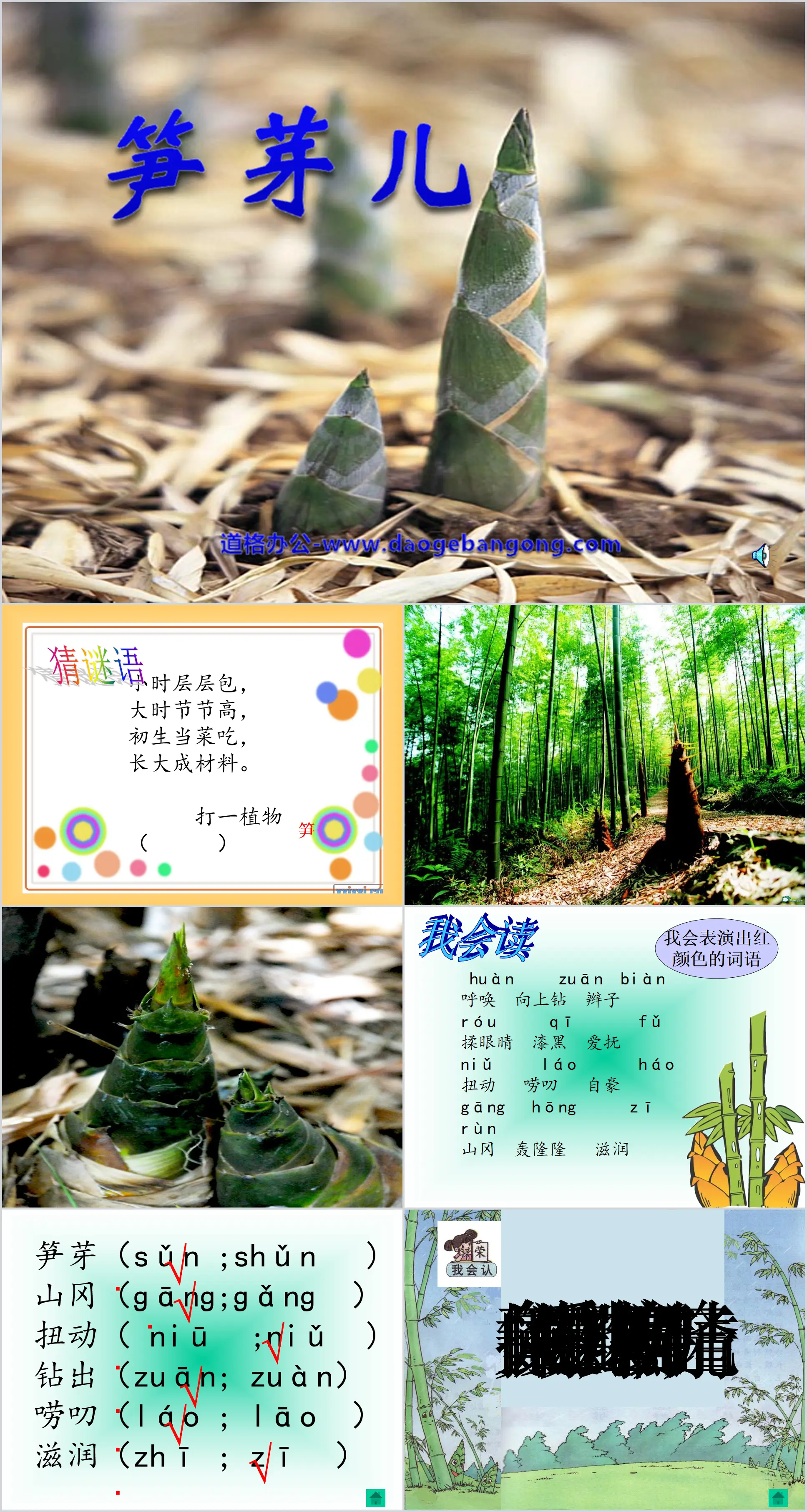 "Bamboo Shoots" PPT courseware 6