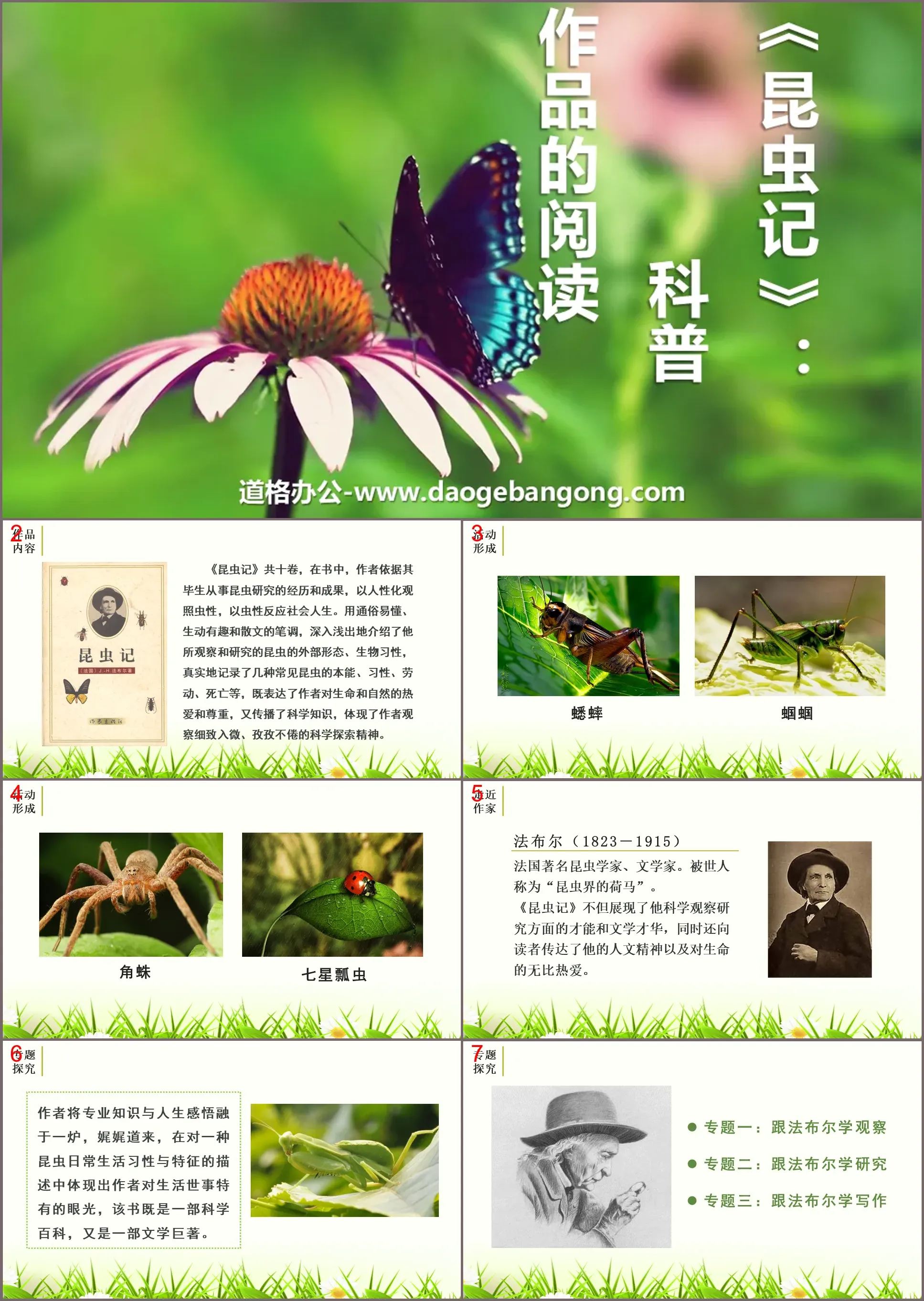 Cours PPT « Journal des insectes »