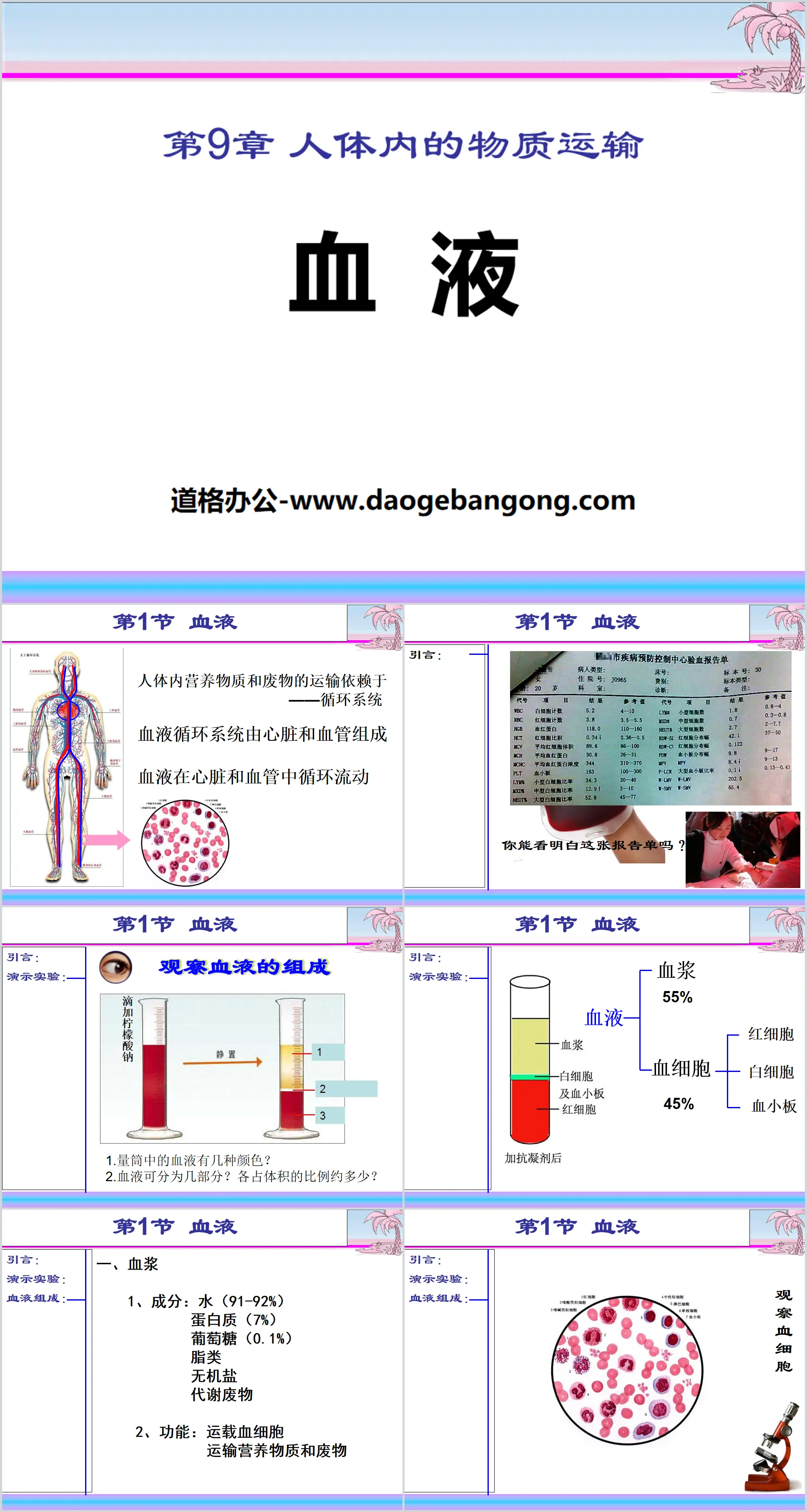 《血液》PPT课件
