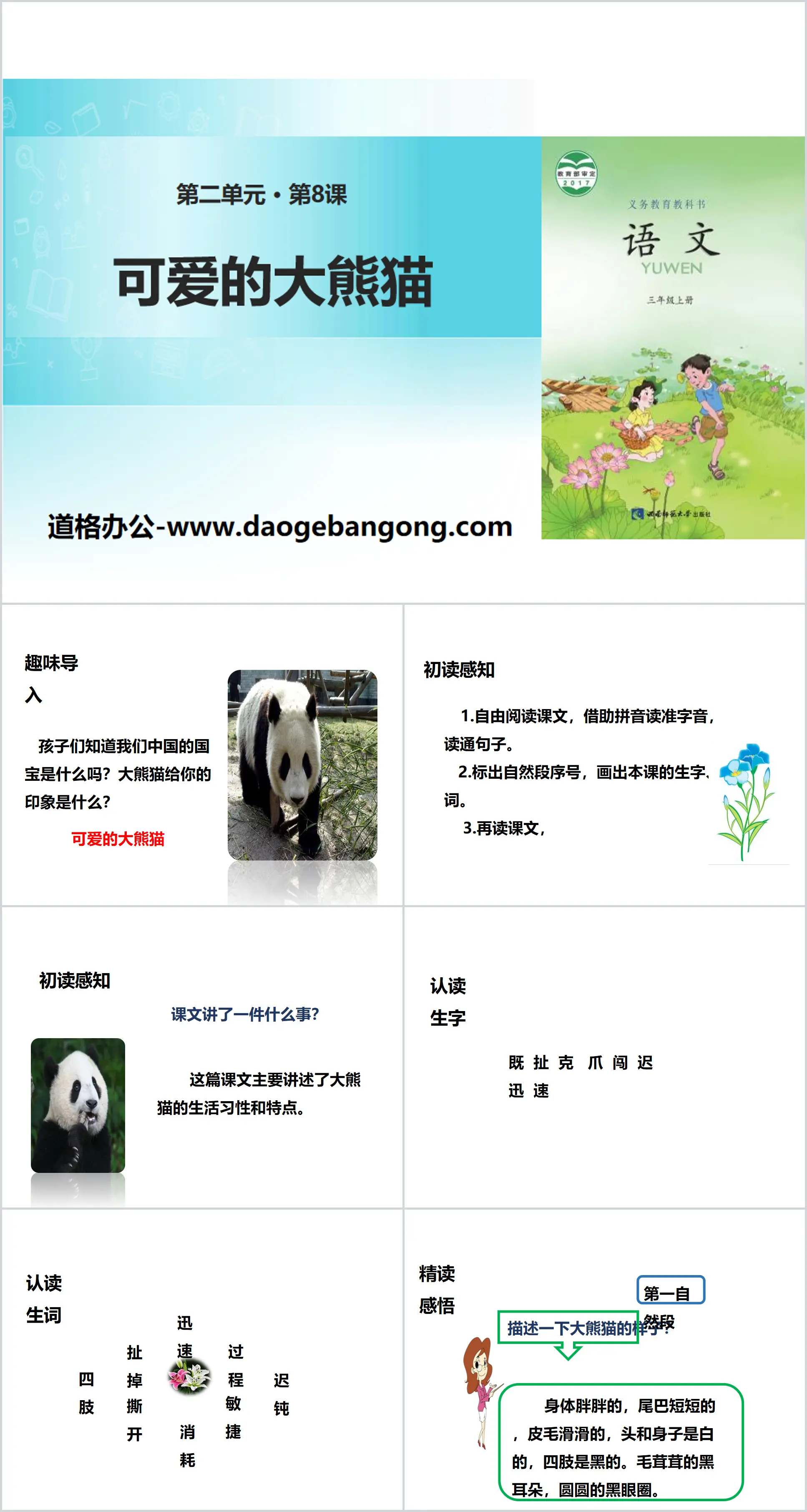 Présentation PowerPoint « Un panda géant mignon »